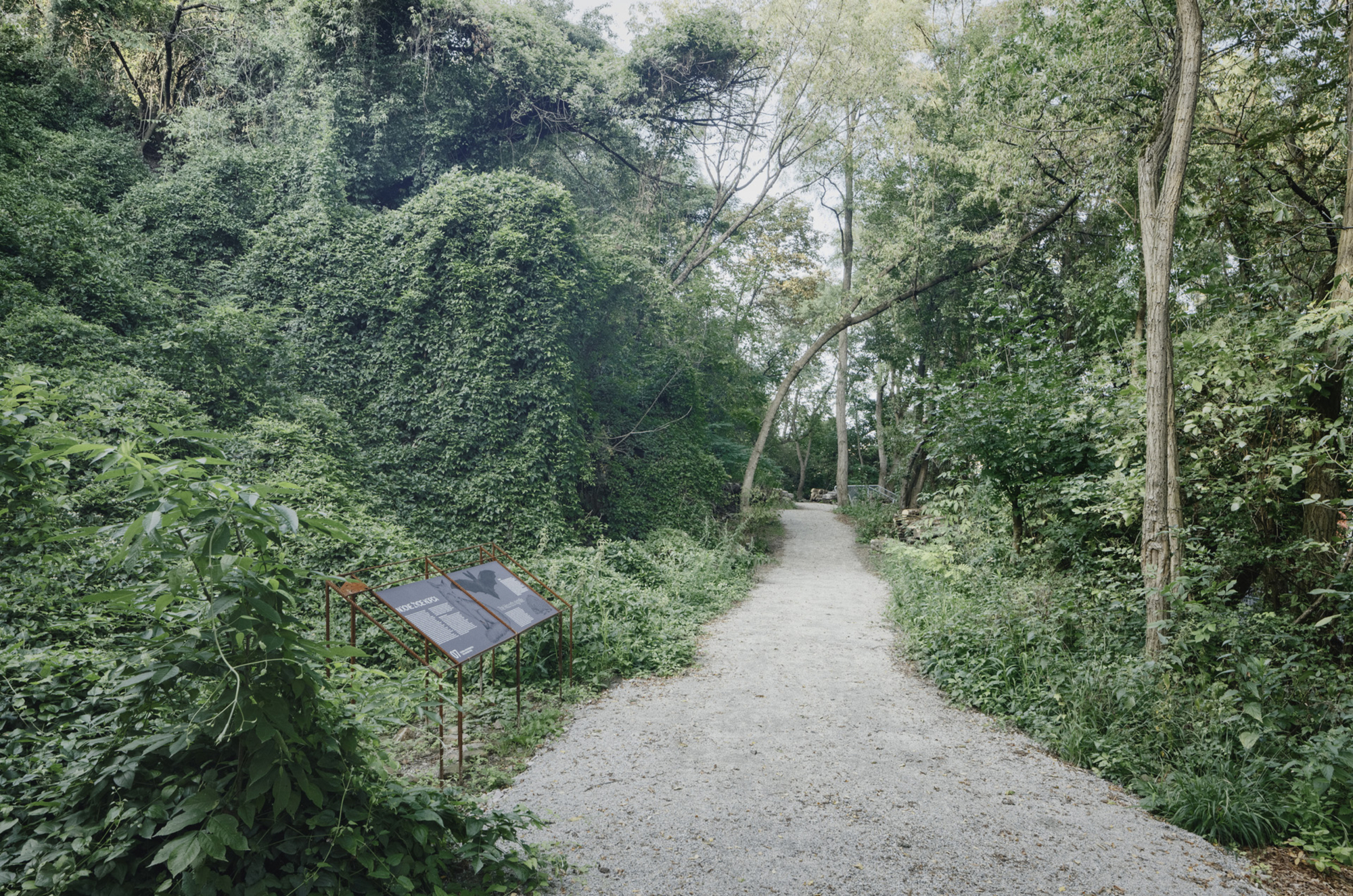 Gravel path with interpretive signage leading through dense woodland vegetation