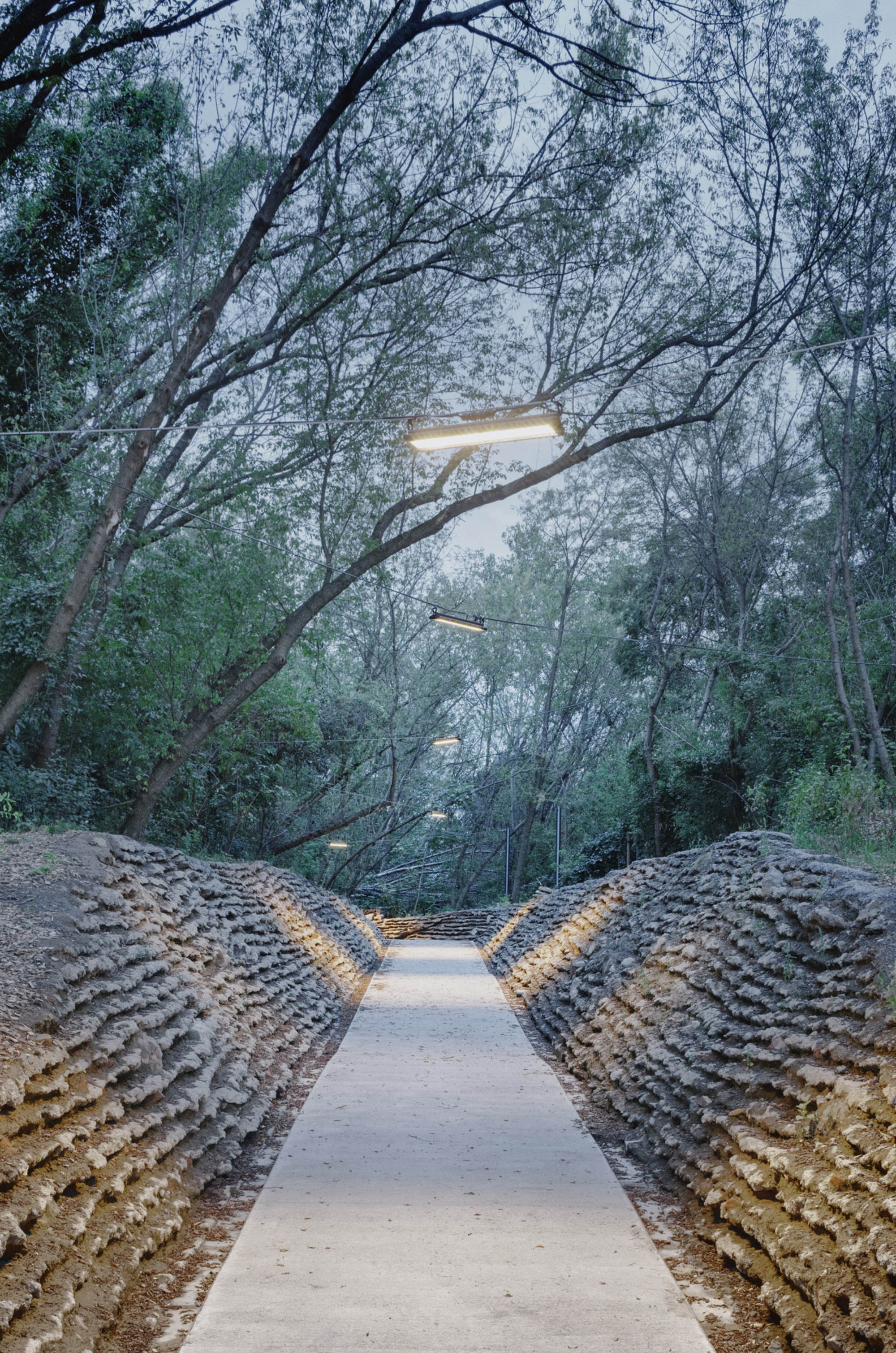 Stone wall passage illuminated at dusk with bare tree branches overhead