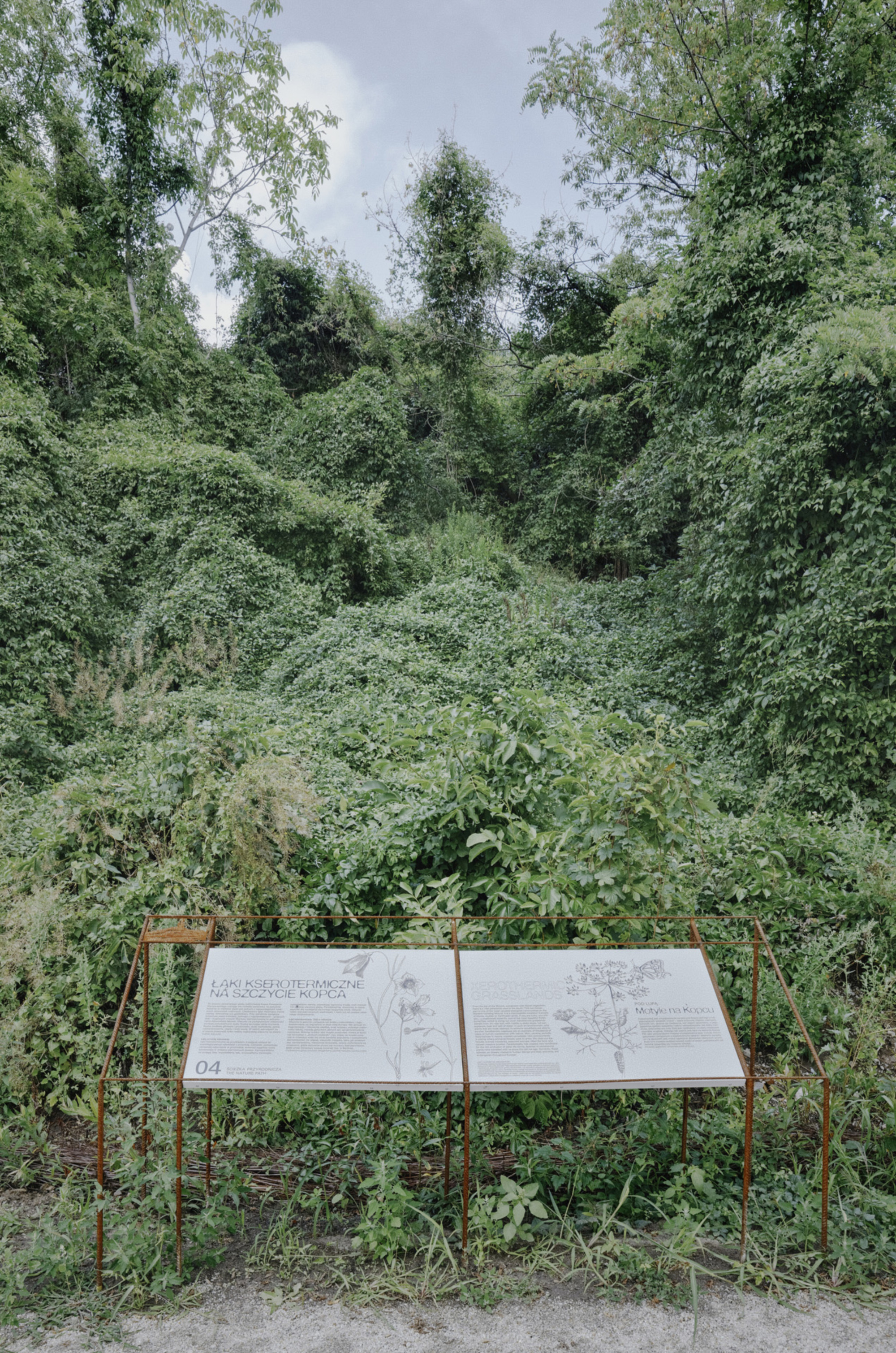 Interpretive signage panel on metal frame standing before dense vegetation and hillside overgrowth