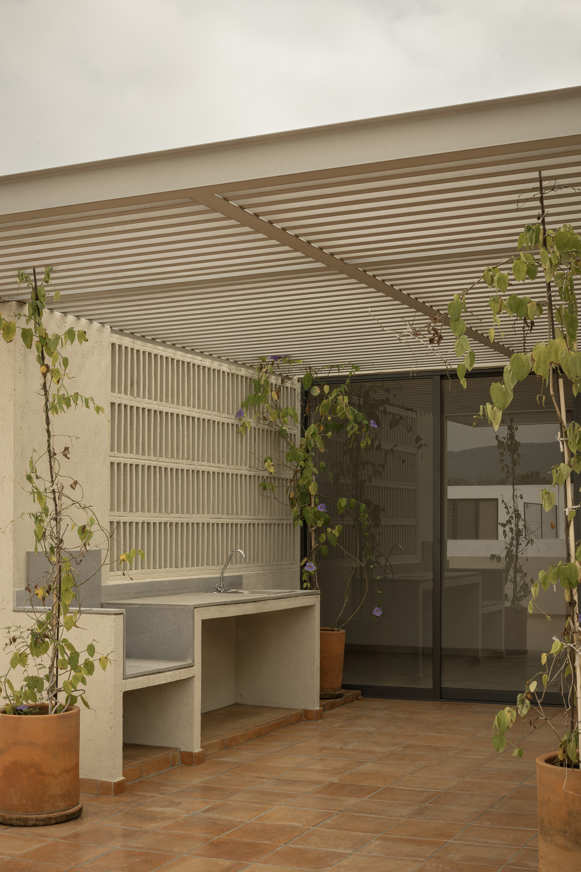 Covered terrace with slatted timber ceiling, concrete countertop and climbing vines in terracotta pots