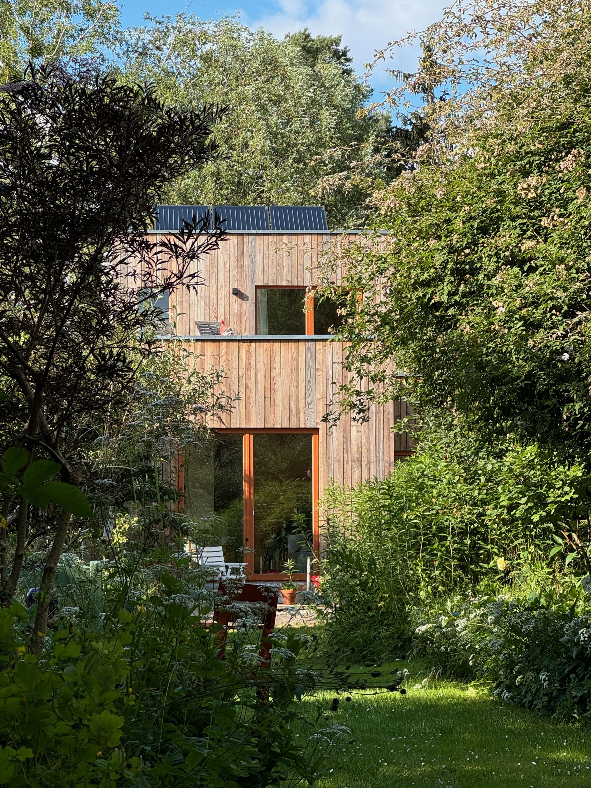 Timber facade with stacked windows framed by dense garden foliage in afternoon light