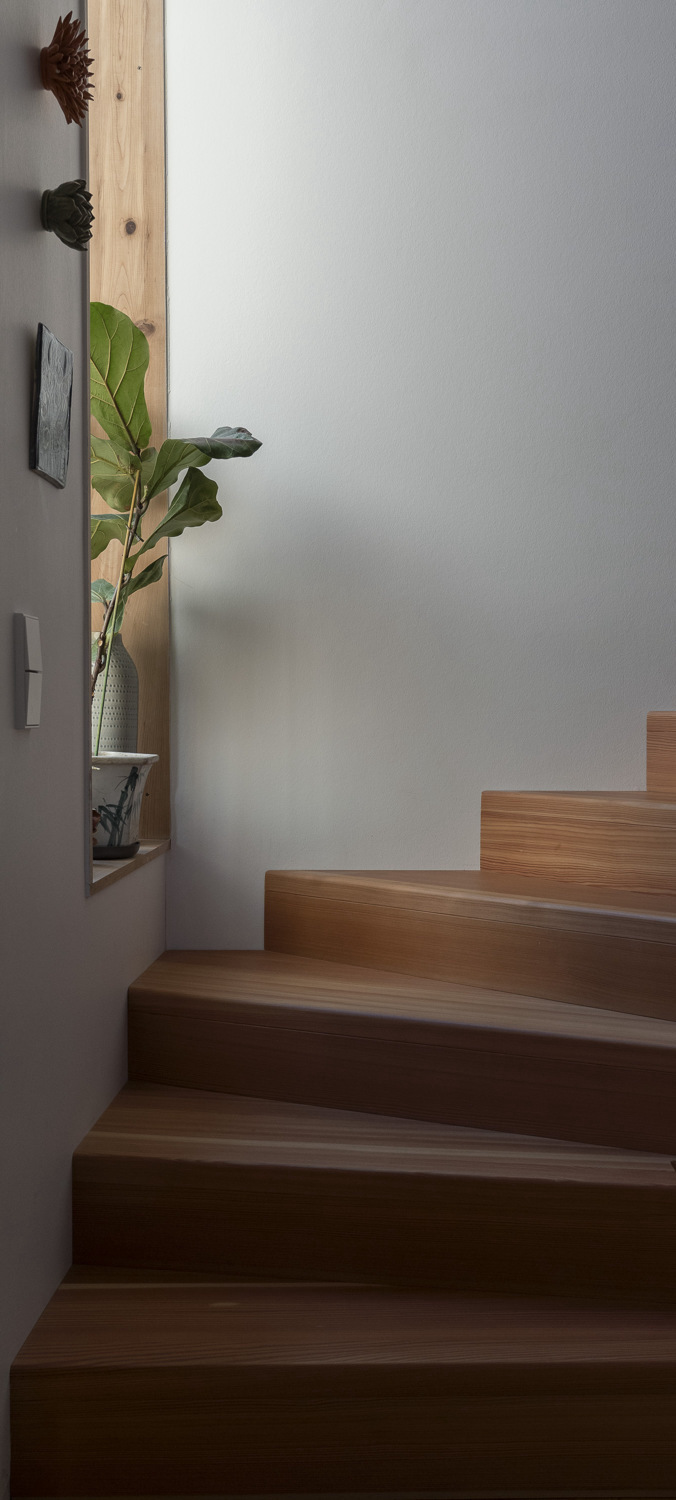 Timber staircase with white walls and a potted fiddle-leaf fig on a wall-mounted shelf