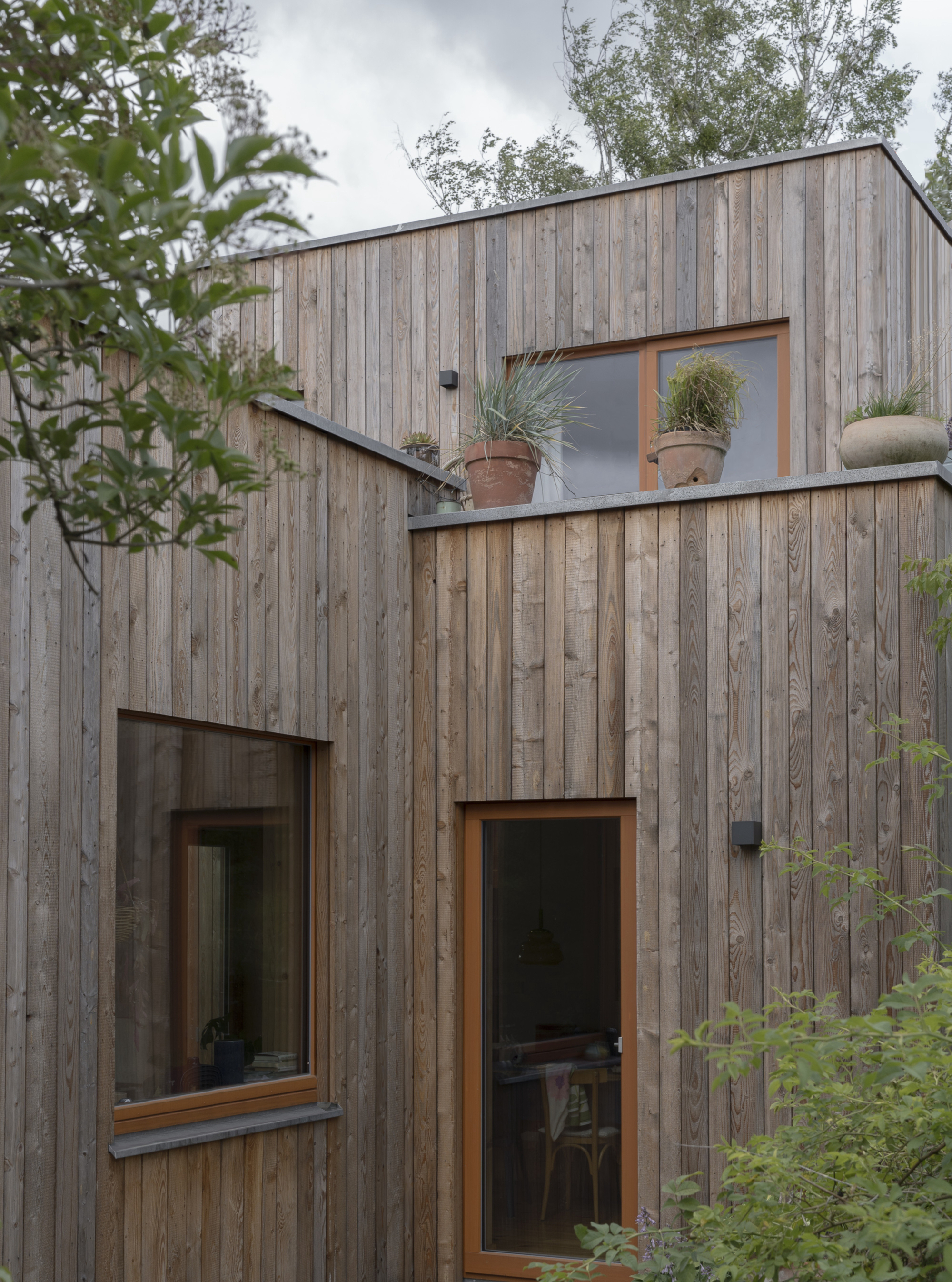 Weathered timber cladding with offset windows and potted grasses on an upper balcony ledge