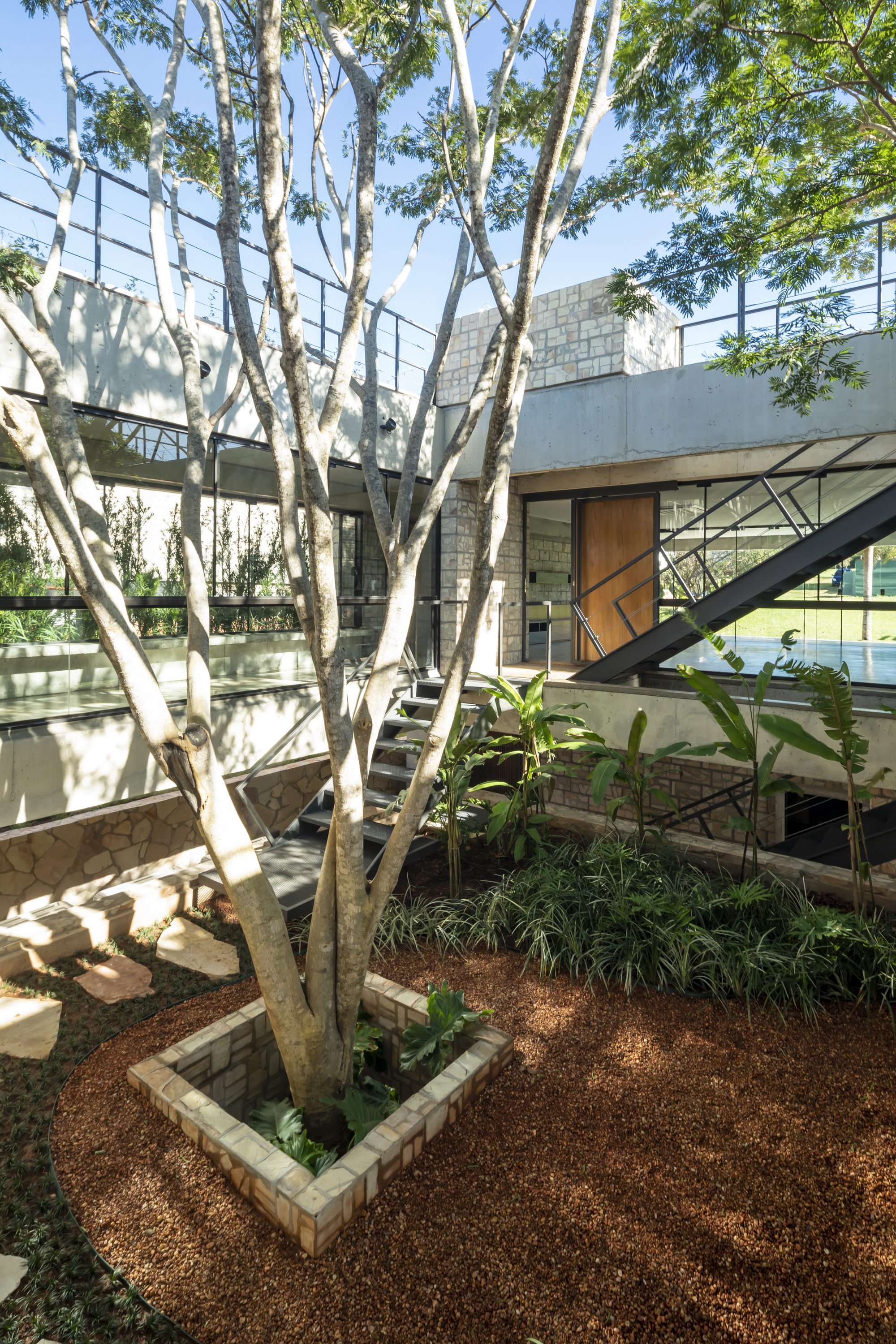 Courtyard with white-barked trees planted in stone beds beneath glazed bridges and diagonal steel bracing