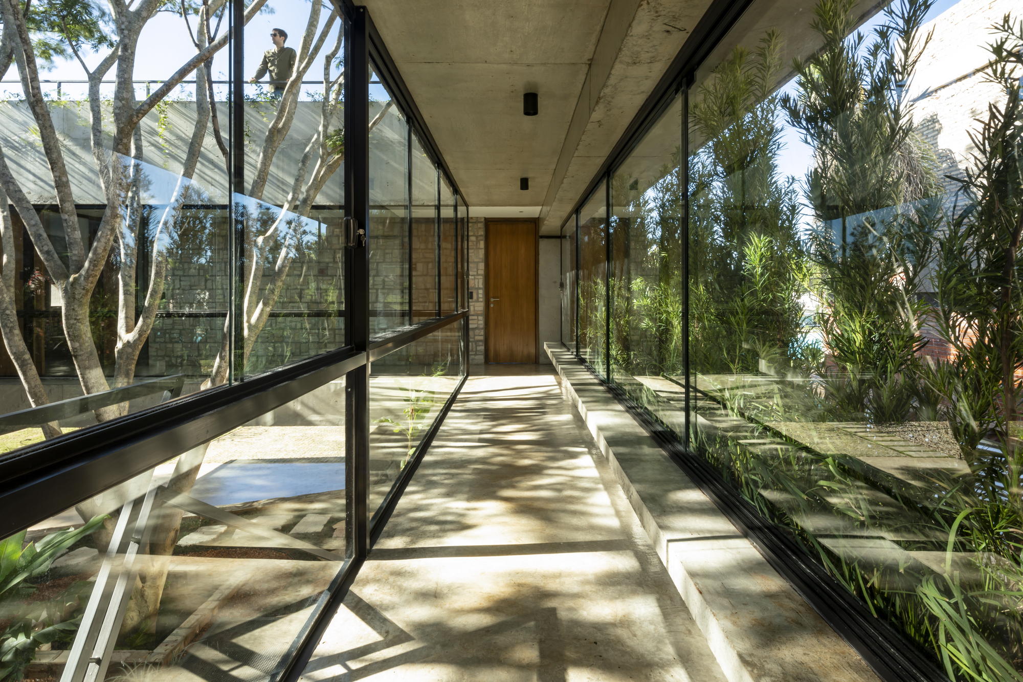 Glass-walled corridor with concrete soffit and dappled sunlight filtering through adjacent planted courtyard