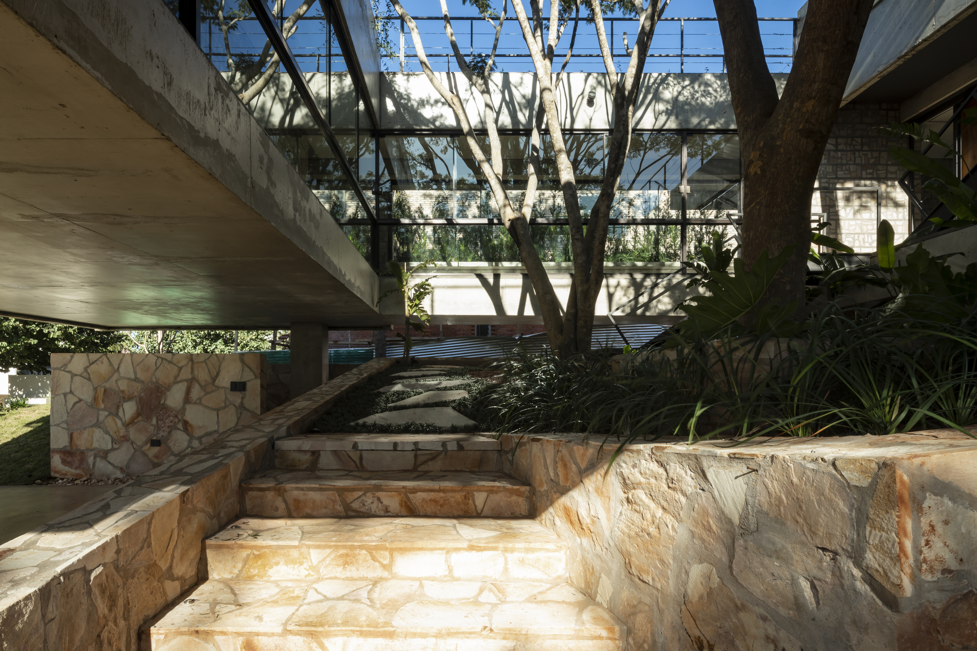Stone staircase descending through courtyard with steel and glass pergola overhead and tree trunks filtering light