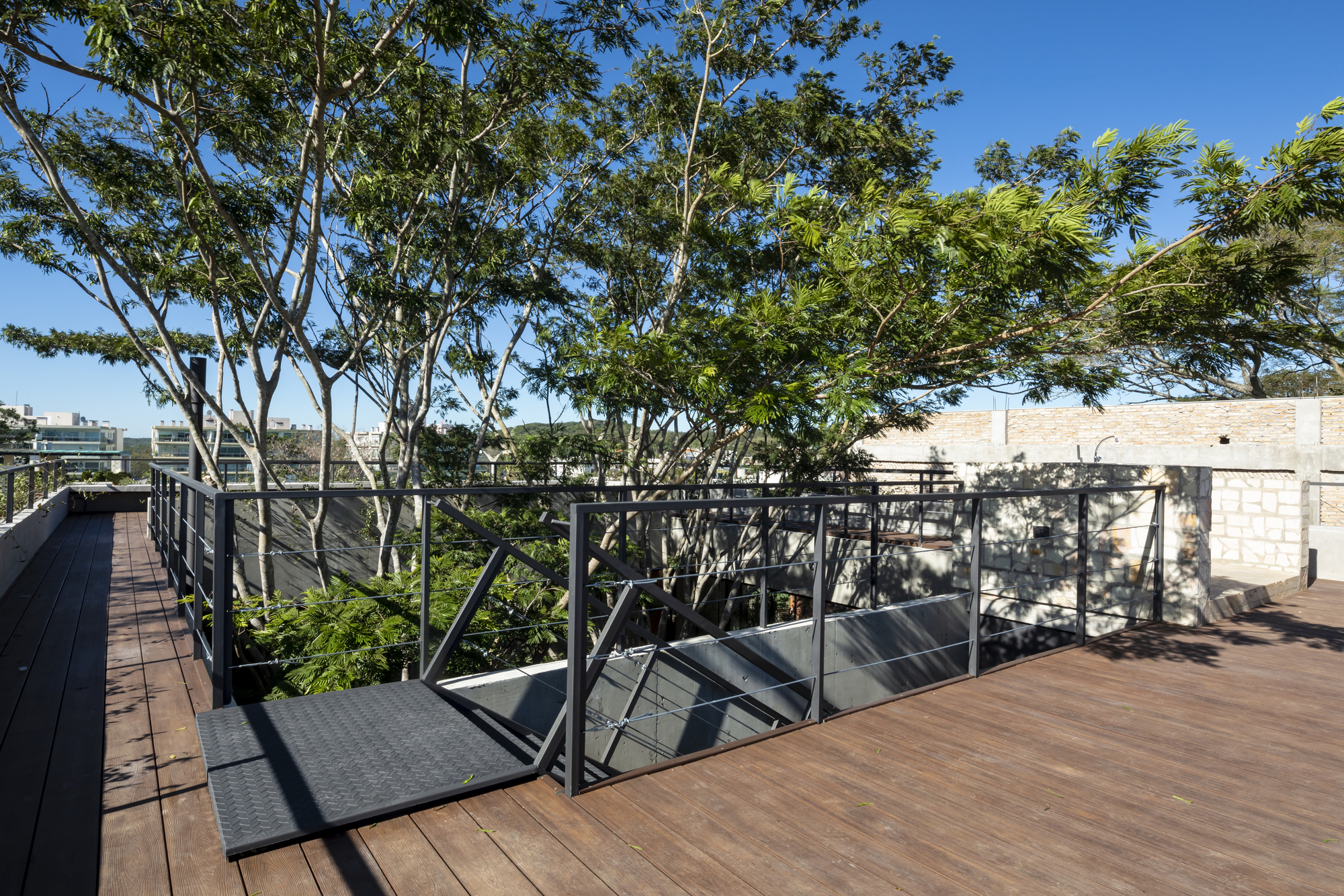 Timber deck with steel railing and skylight opening surrounded by mature trees under clear blue sky