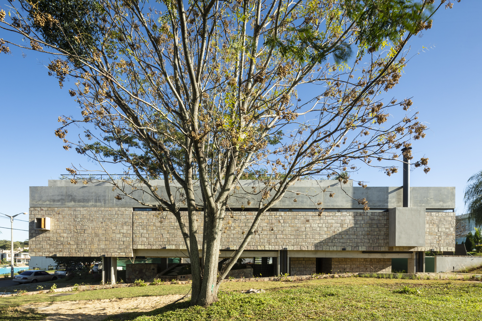 Street view of layered concrete and block facade with bare branching tree in foreground and lawn