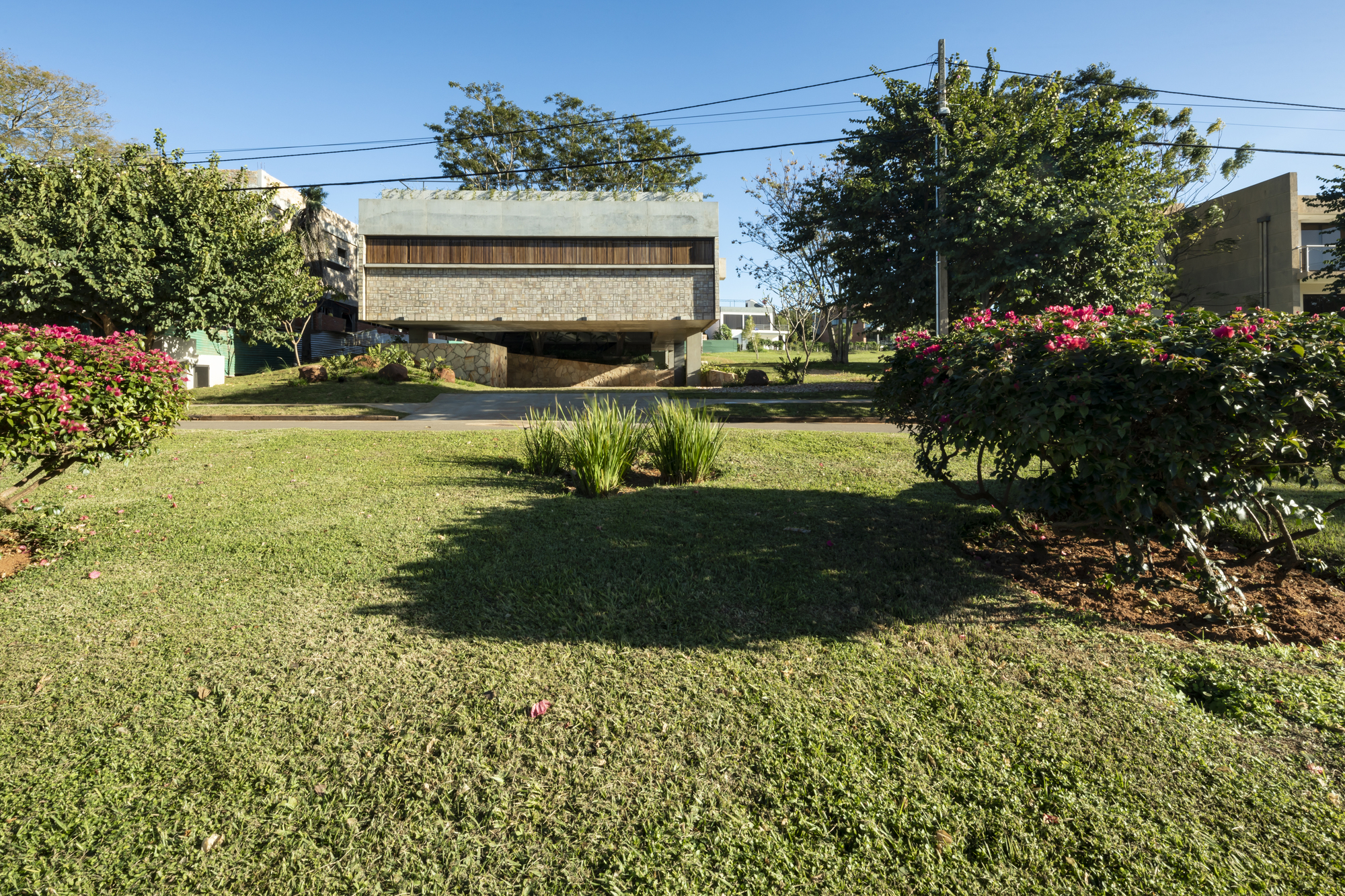 Cantilevered concrete and timber volume viewed across a lawn with flowering shrubs and trees
