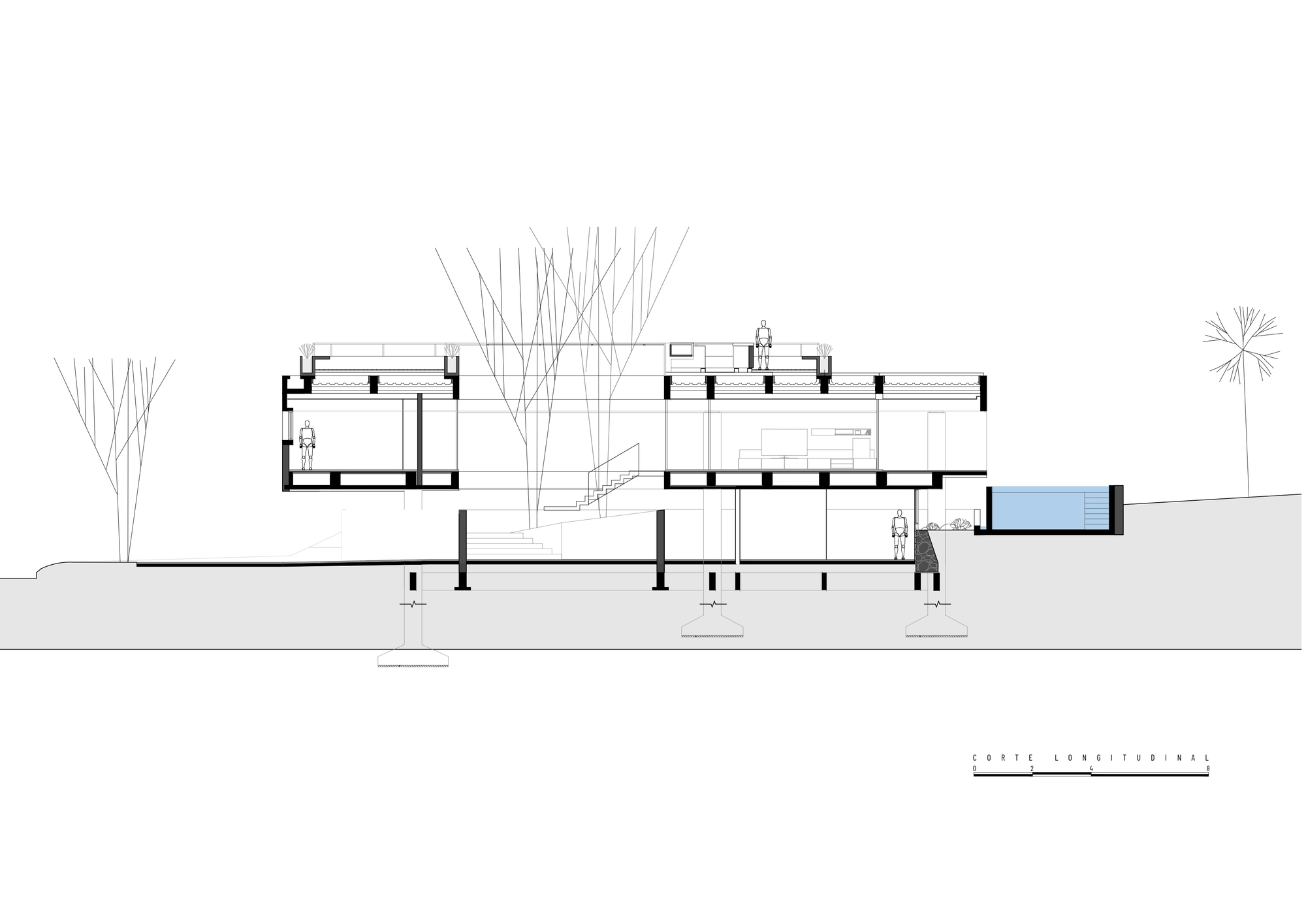 Longitudinal section drawing showing split-level interior spaces with trees and a pool on sloped terrain