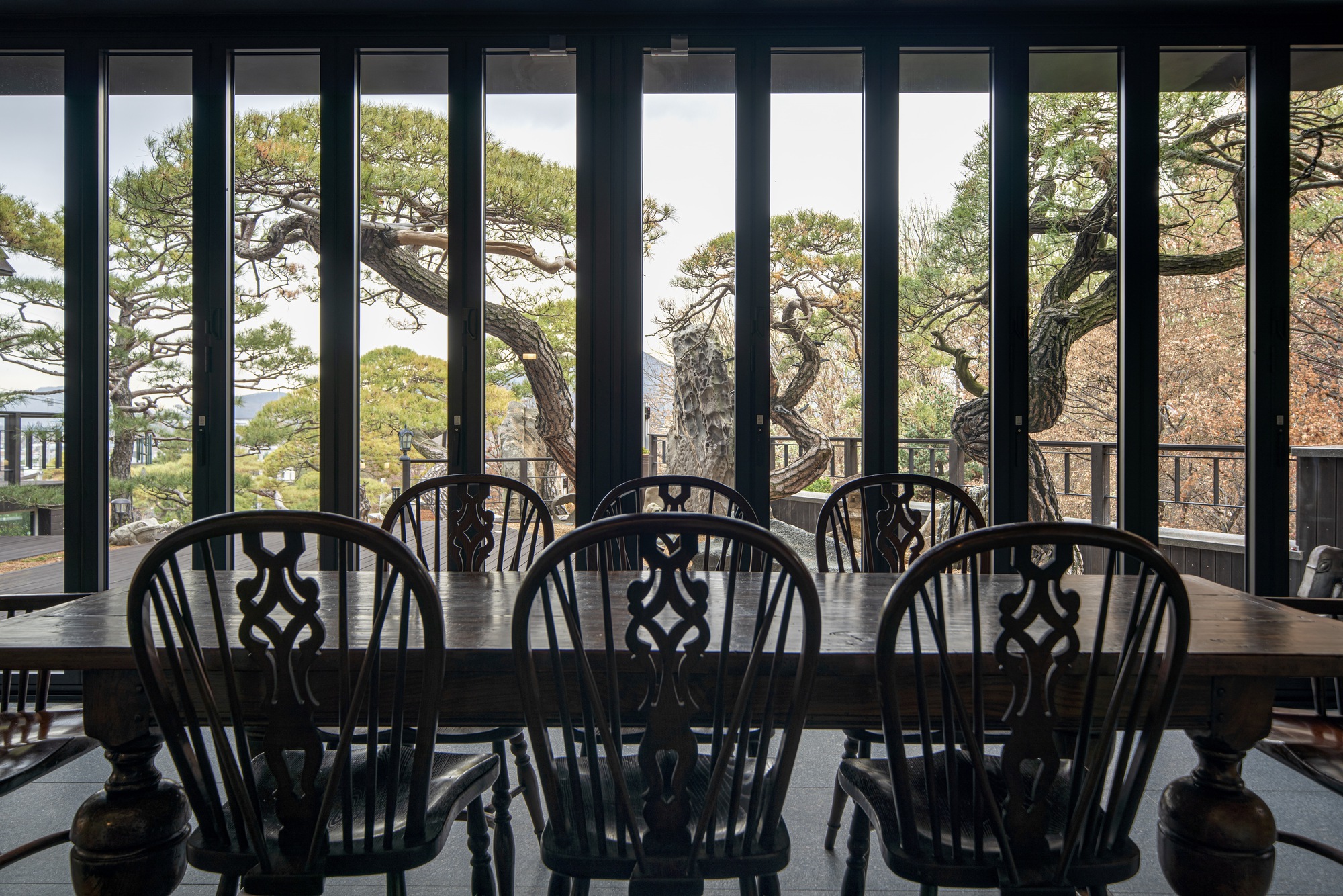 View through vertical black window mullions to pine branches and hillside beyond the dining table