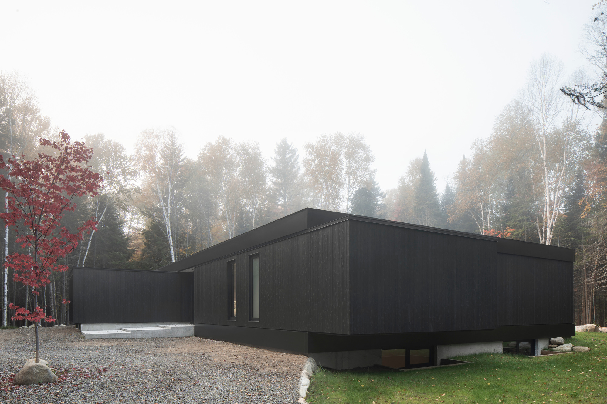 Dark timber cladding and vertical window slots beside a gravel drive in fog