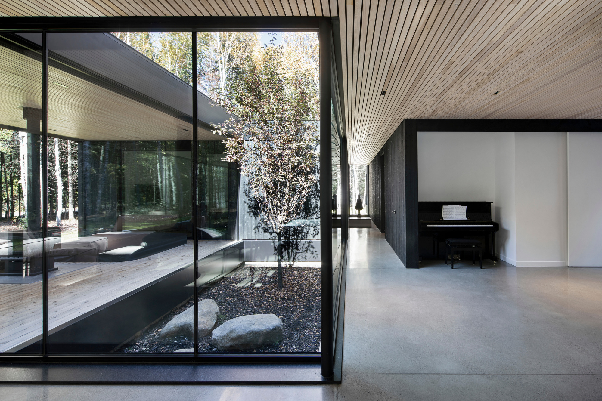Interior corridor alongside glazed courtyard with planted birch tree and black gravel bed