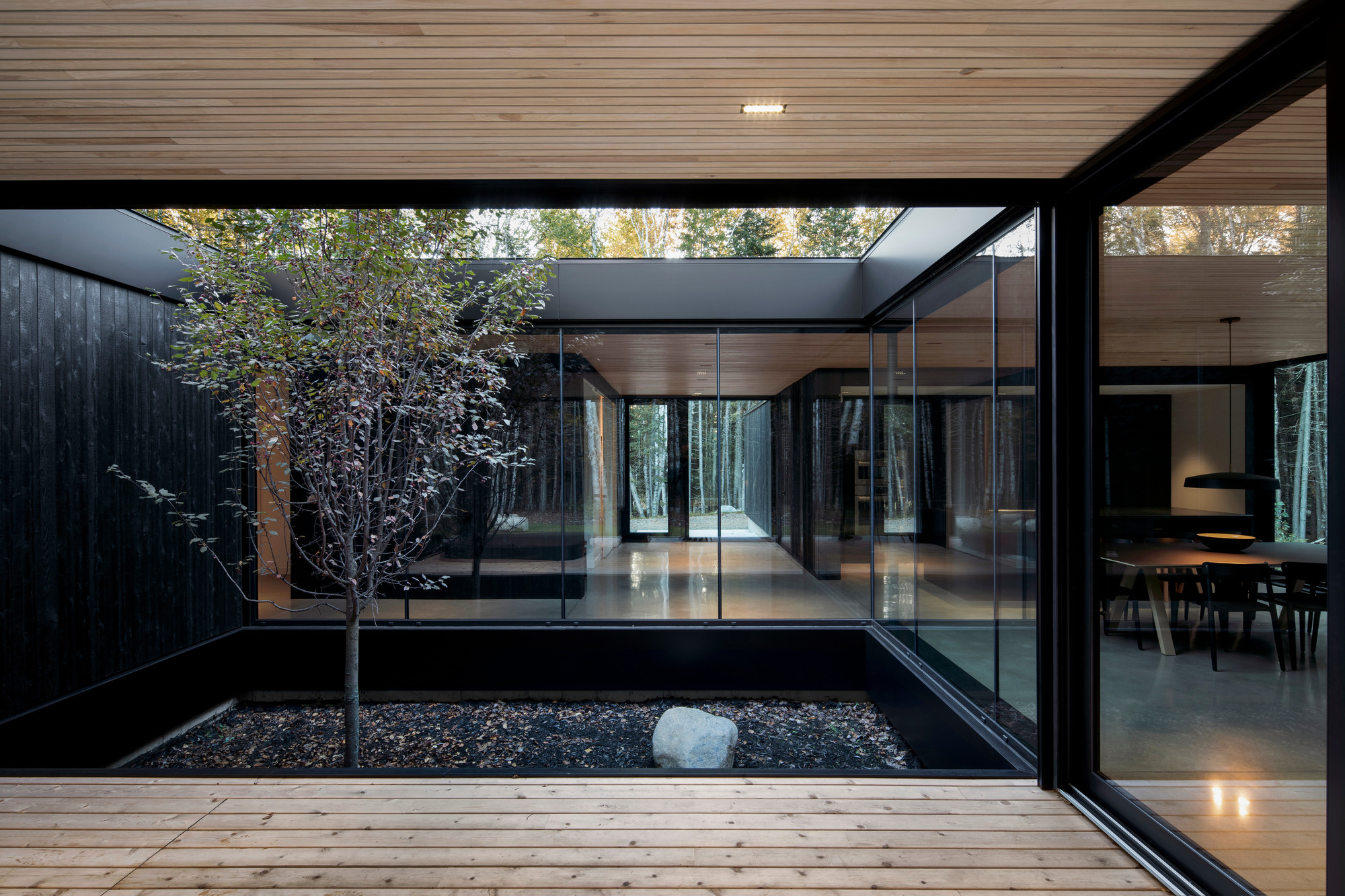 View from timber deck into glass-enclosed courtyard with young tree and black gravel at dusk