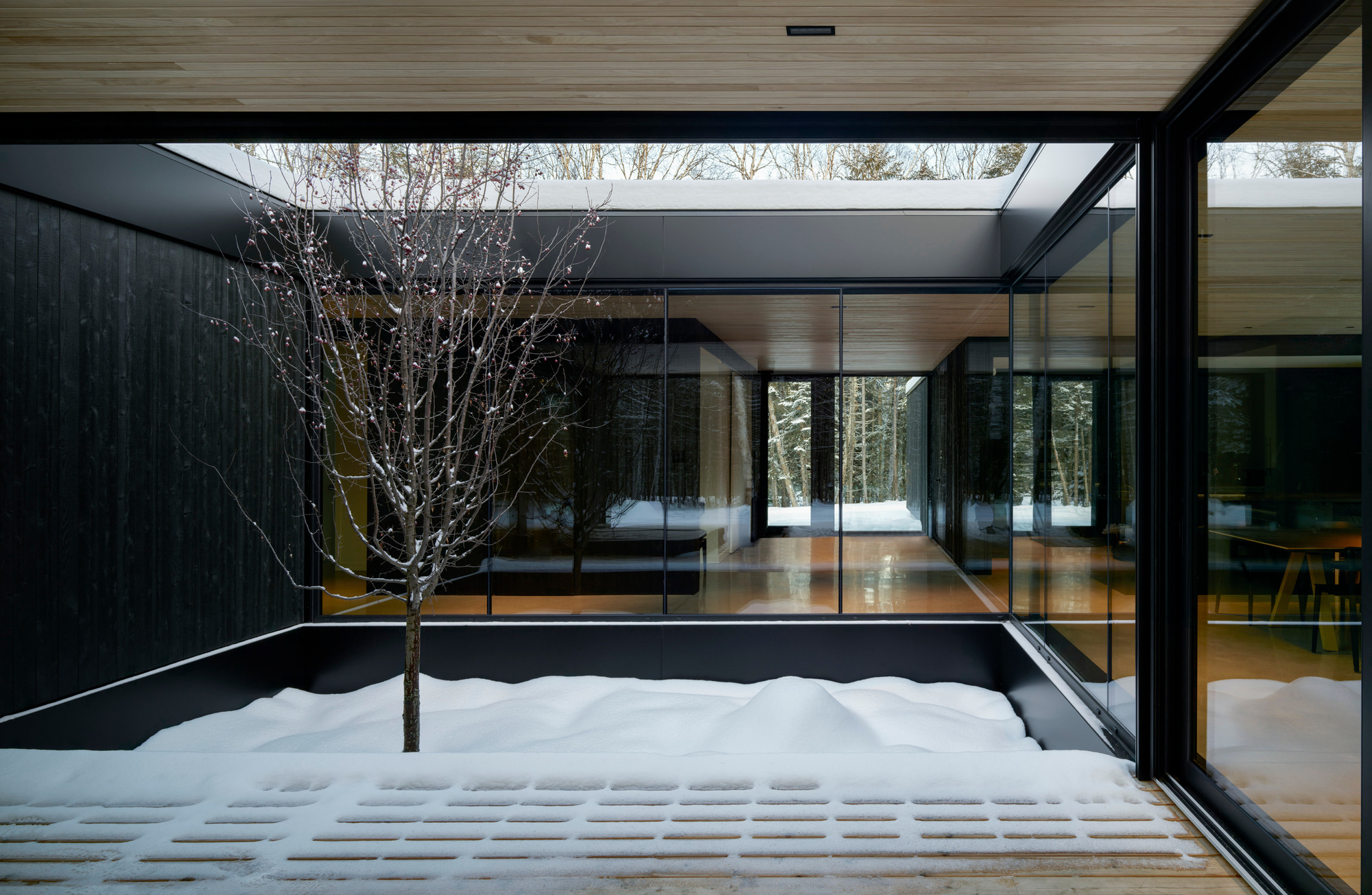 Courtyard with gridded timber deck dusted with snow and bare tree against charred wood walls