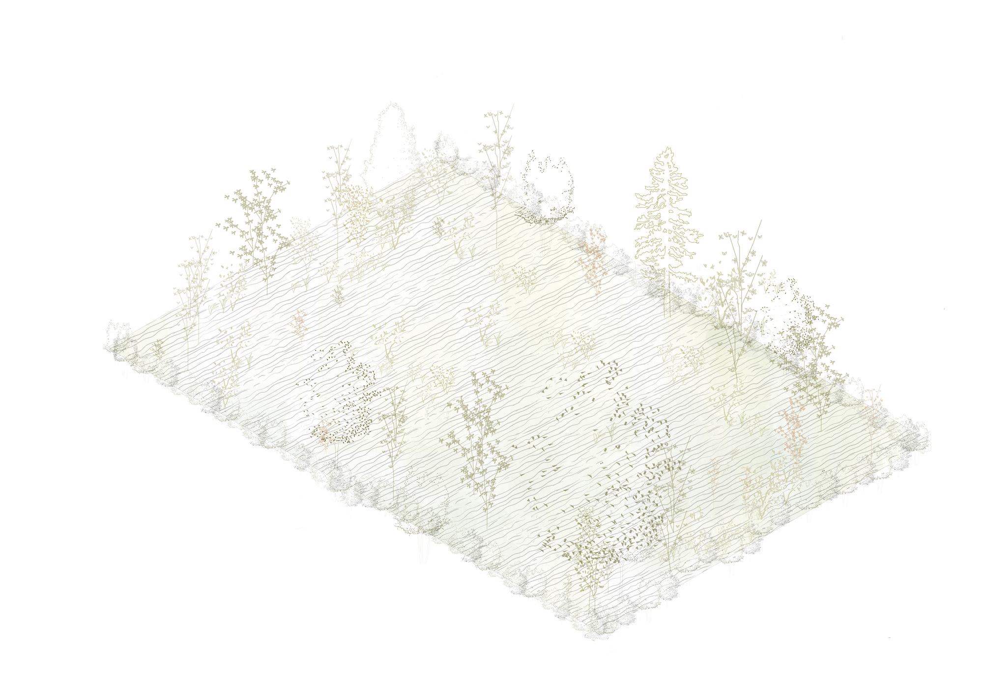 Isometric site drawing depicting the sloped terrain with scattered trees and vegetation clusters