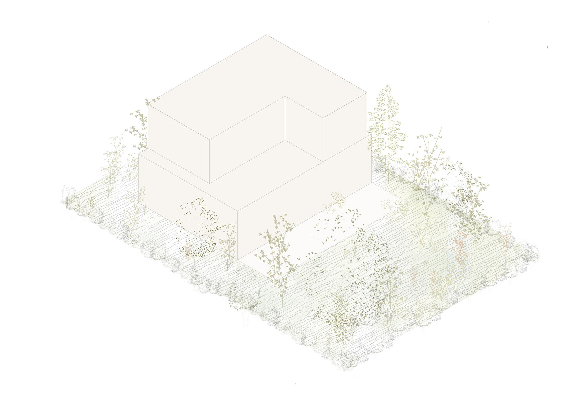 Axonometric drawing showing a two-volume residence surrounded by landscape contours and scattered vegetation