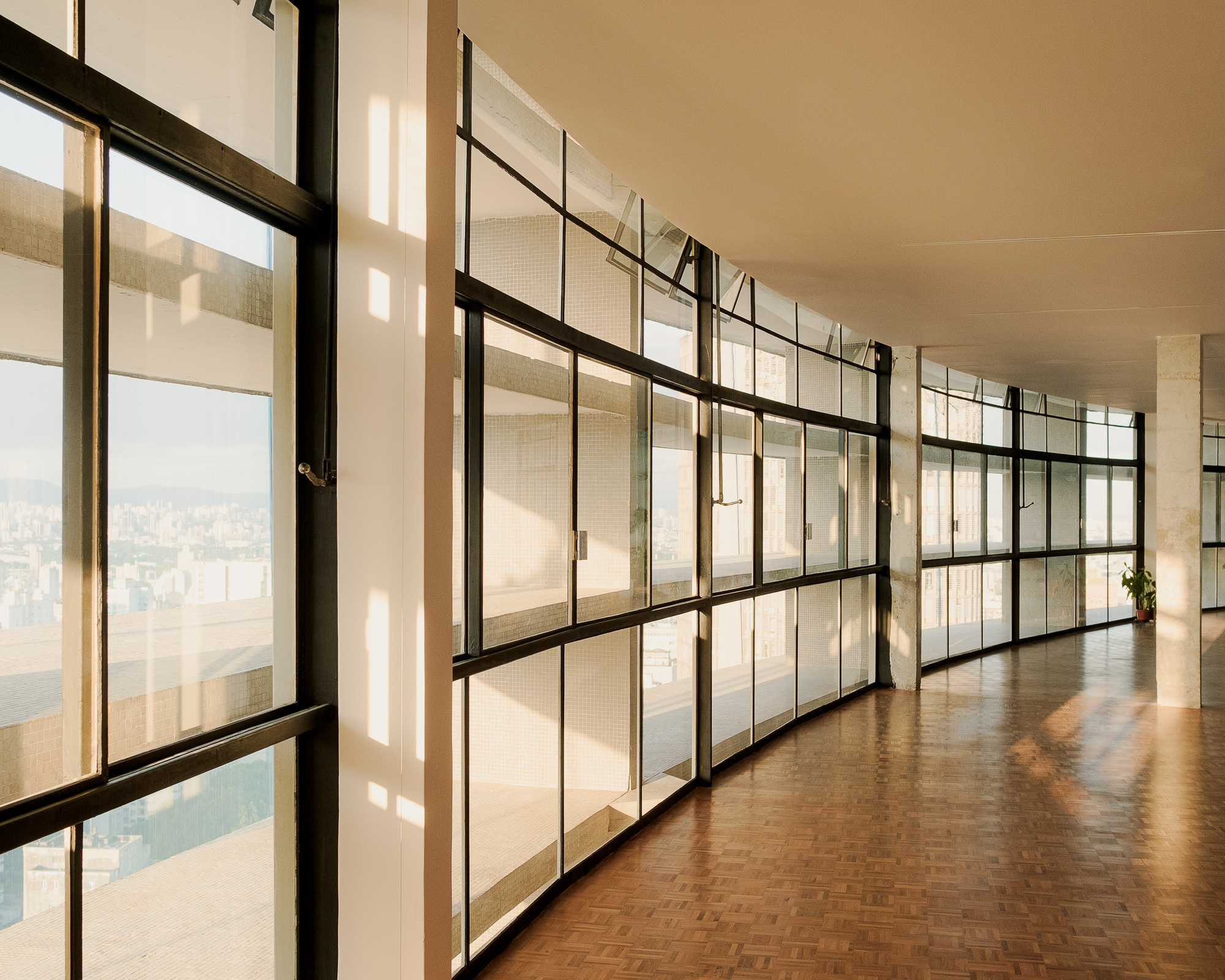 Curved corridor with steel-framed partition walls filtering afternoon light across parquet floor