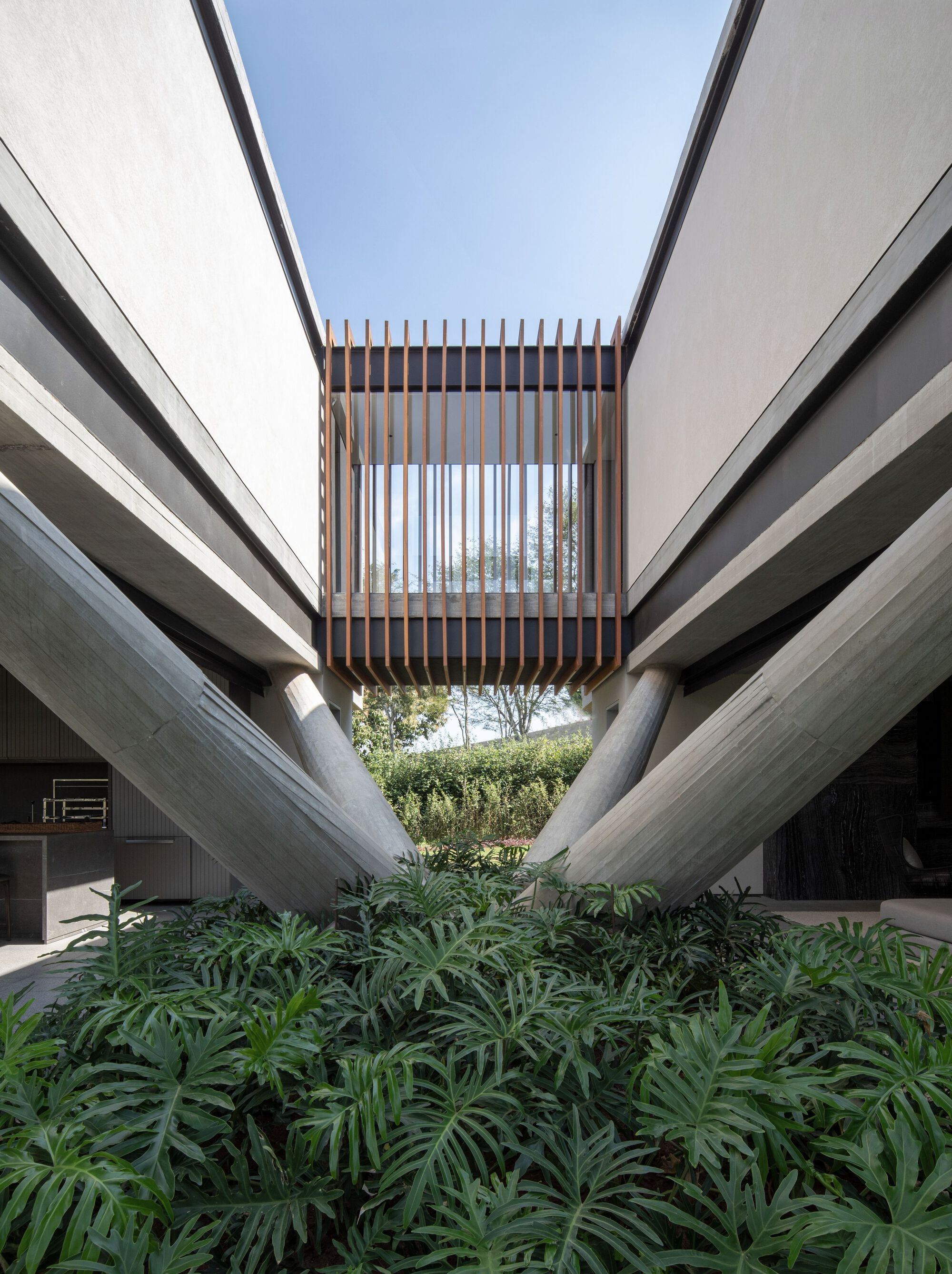 Courtyard view through angled concrete beams with timber screen above and planted bed below