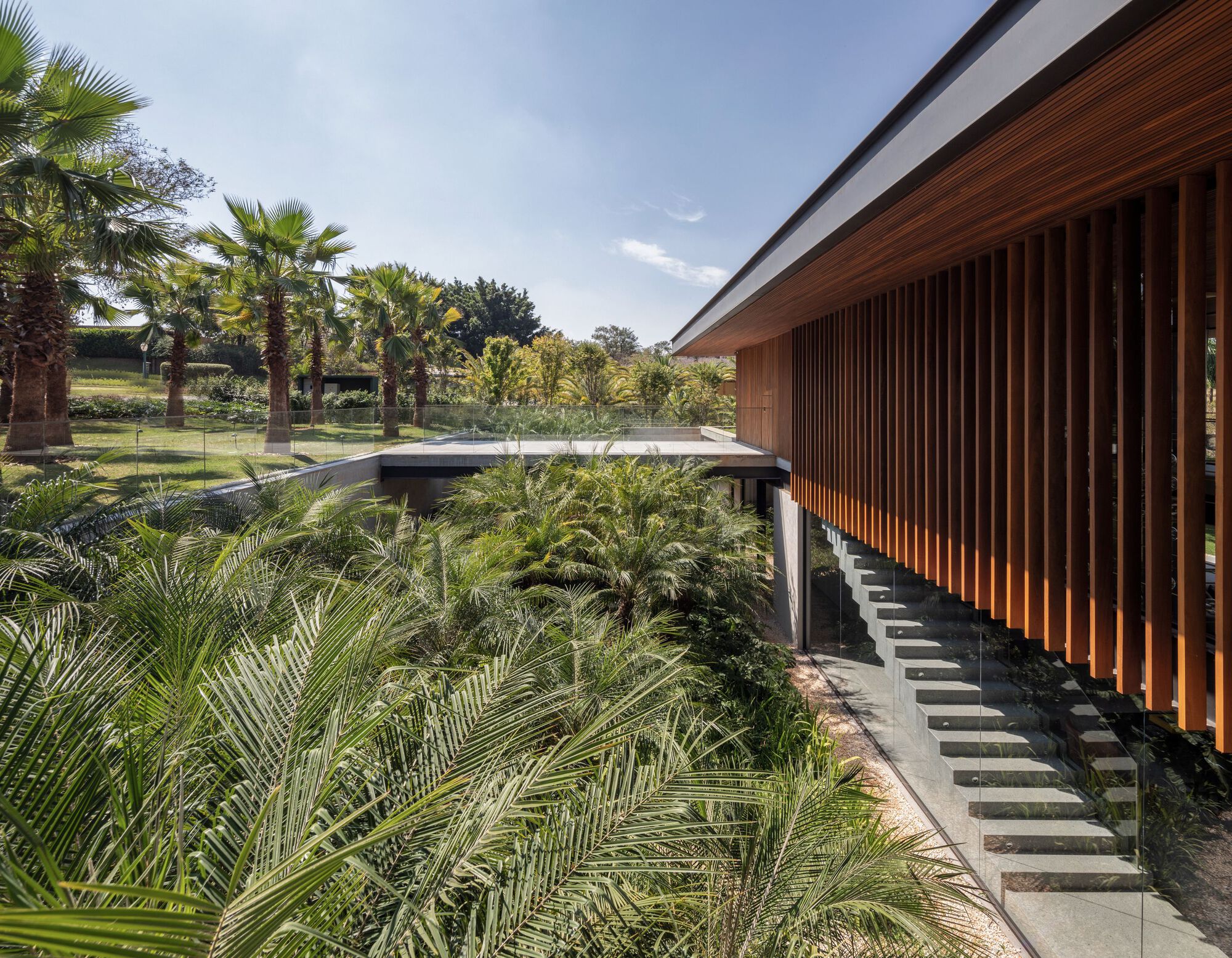 Timber louvered walkway elevated above planted beds with palms and ferns in afternoon light
