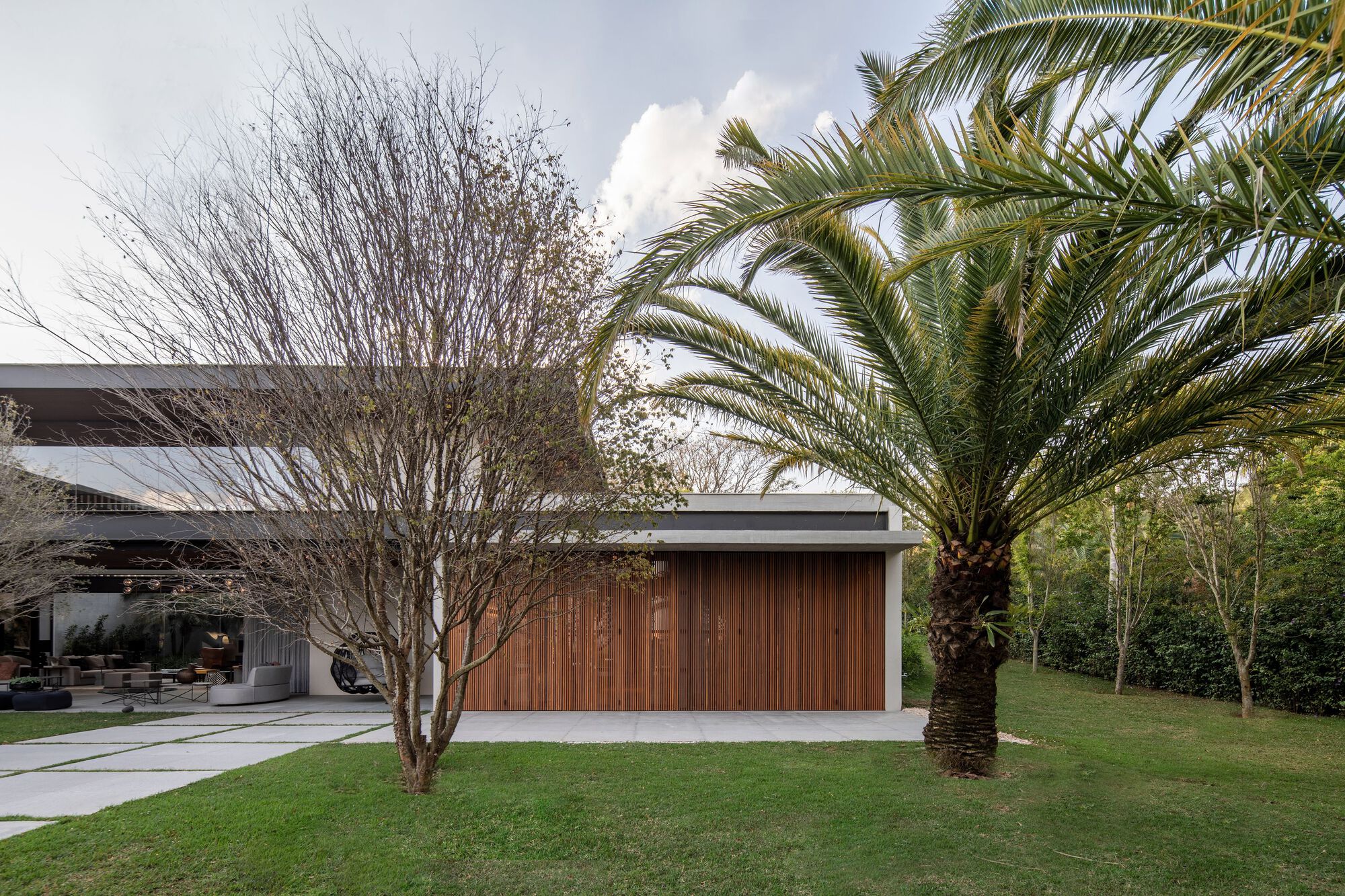 Garden view of timber clad volume framed by a palm tree and leafless branching tree