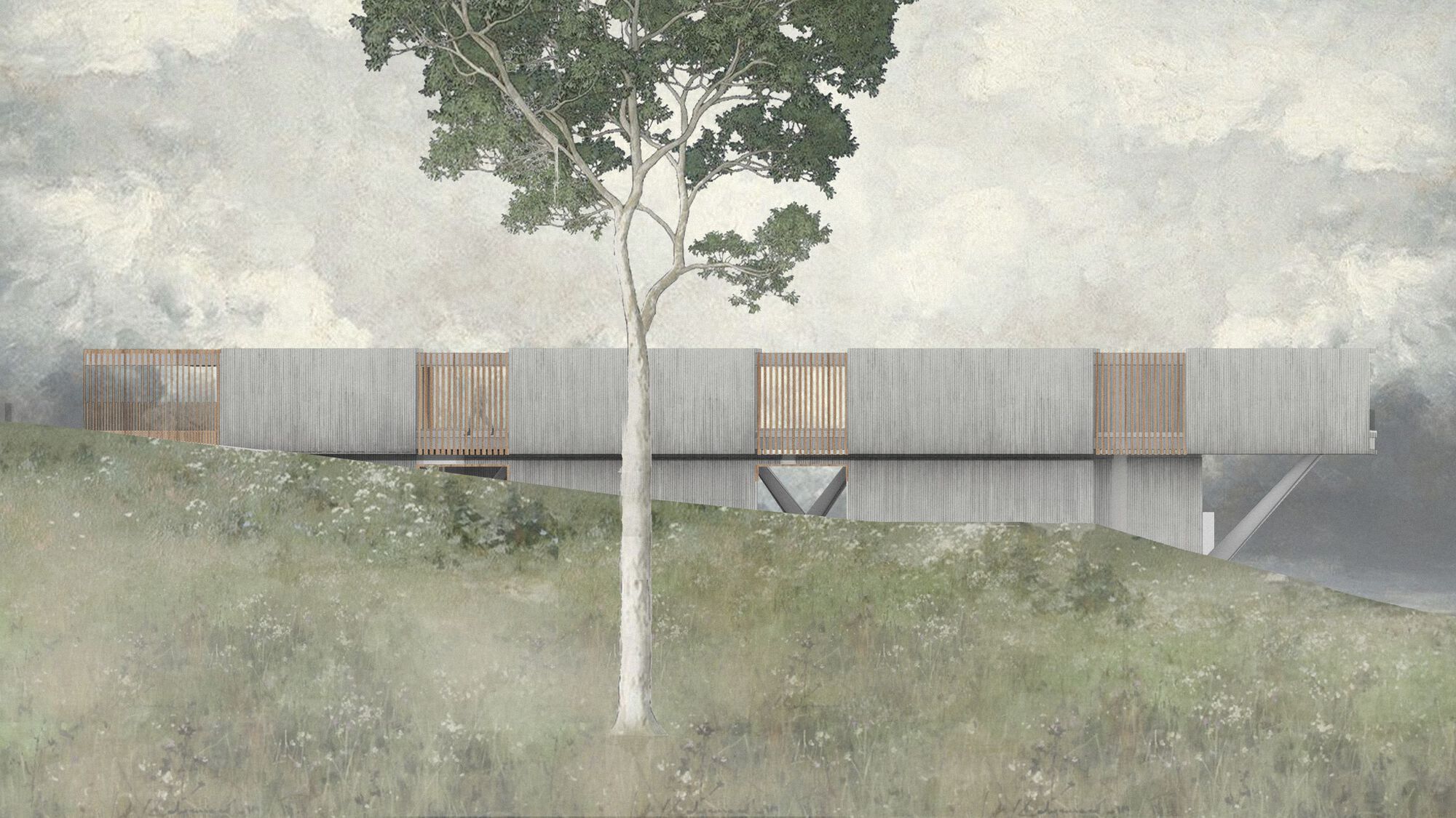 Rendered elevation of a concrete and timber volume elevated above a grassy slope with a lone tree