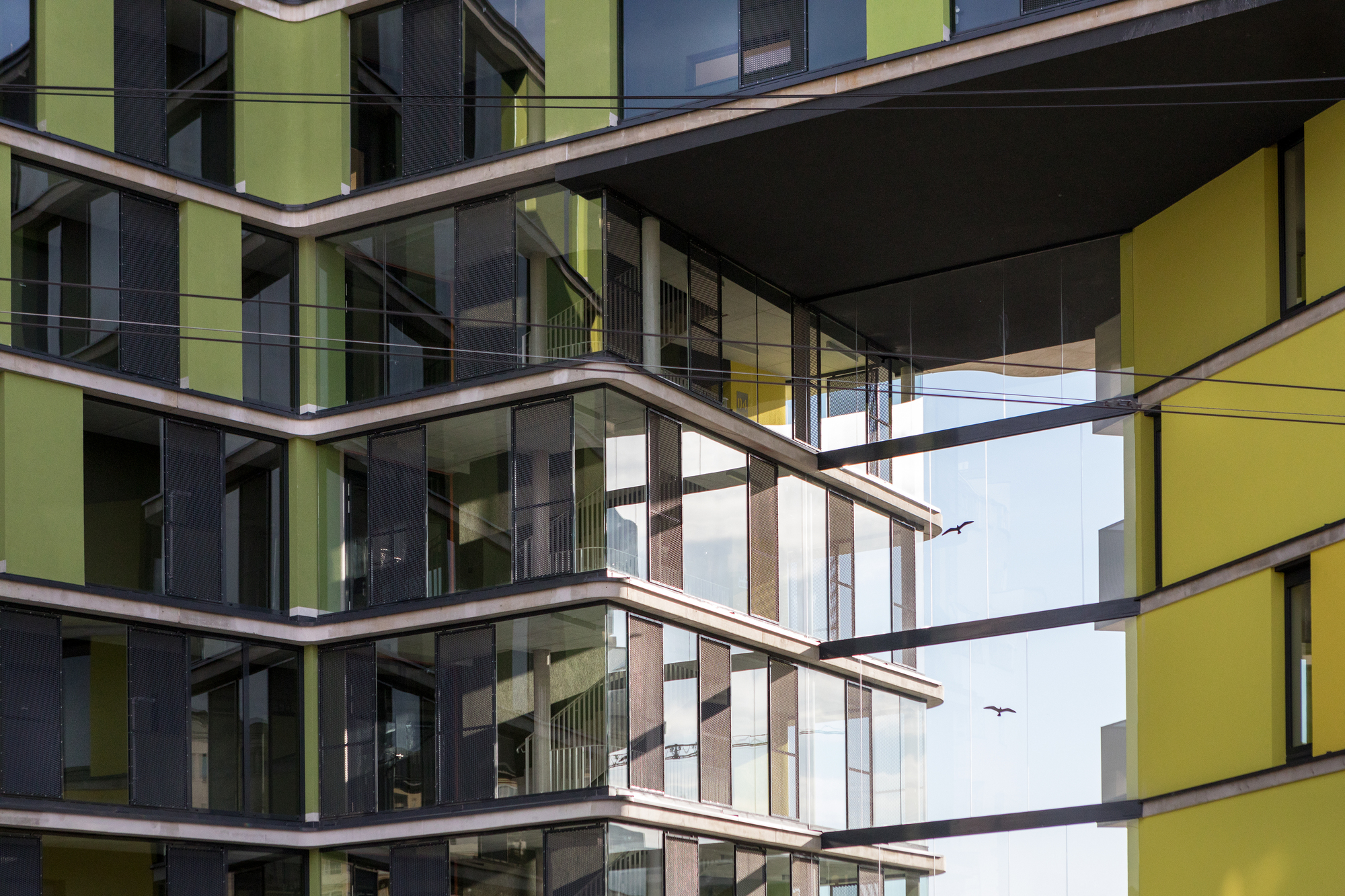Corner facade with glass balconies framed by yellow and grey panels with birds flying overhead