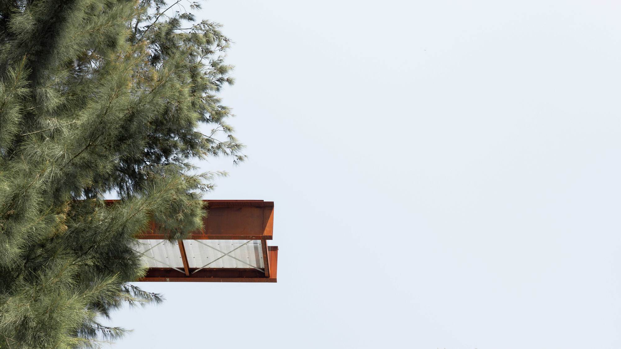 Cantilevered viewing box with weathered steel cladding and glazed end framed by pine branches