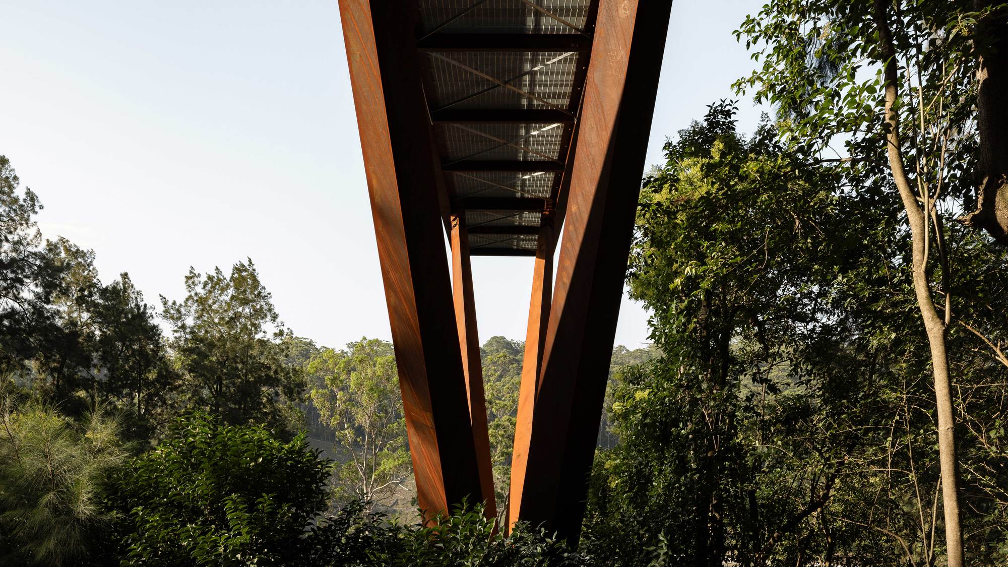 Underside view of the cantilevered walkway structure showing timber beams and steel mesh decking