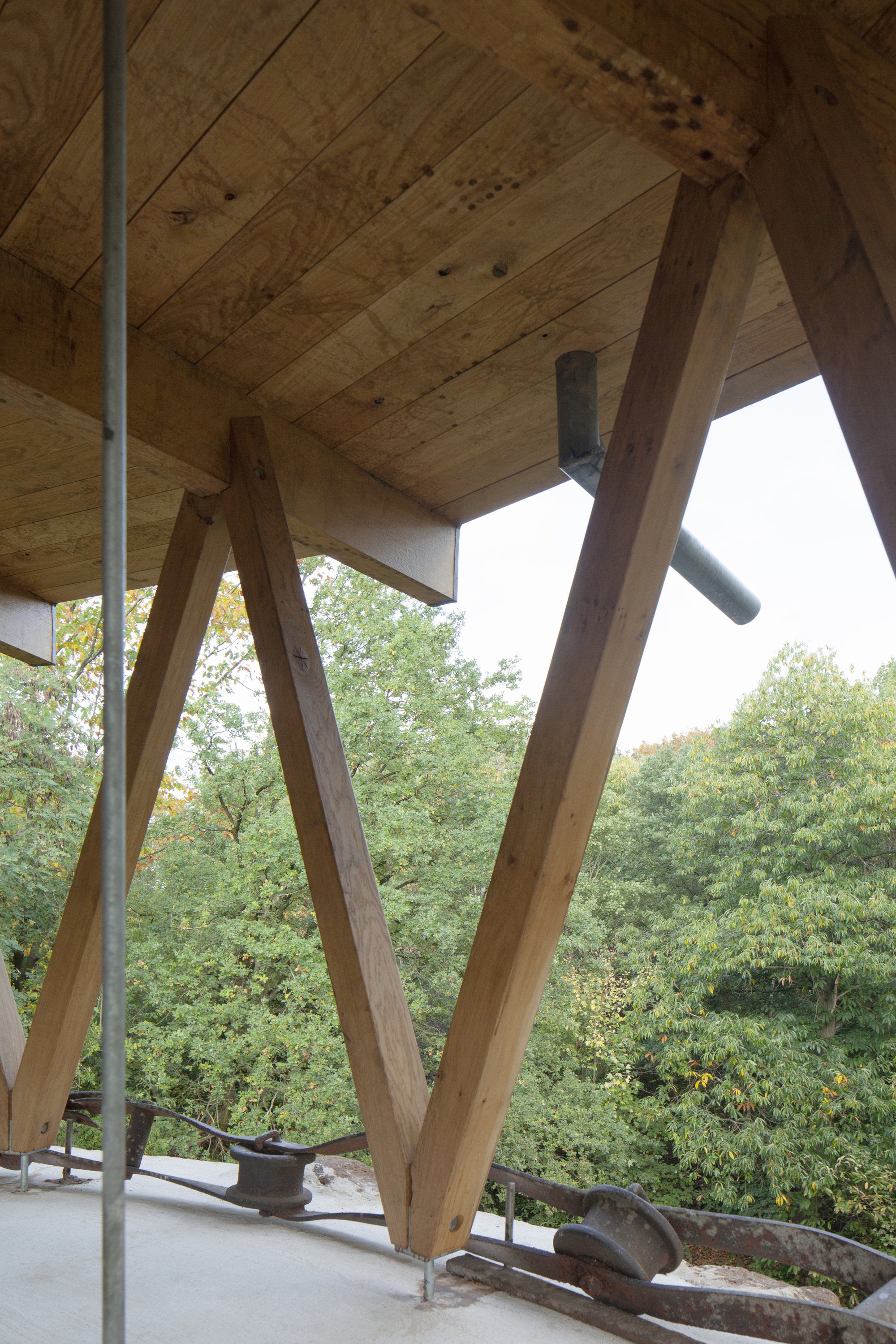 Underside of plywood deck supported by angled timber struts overlooking the forest canopy