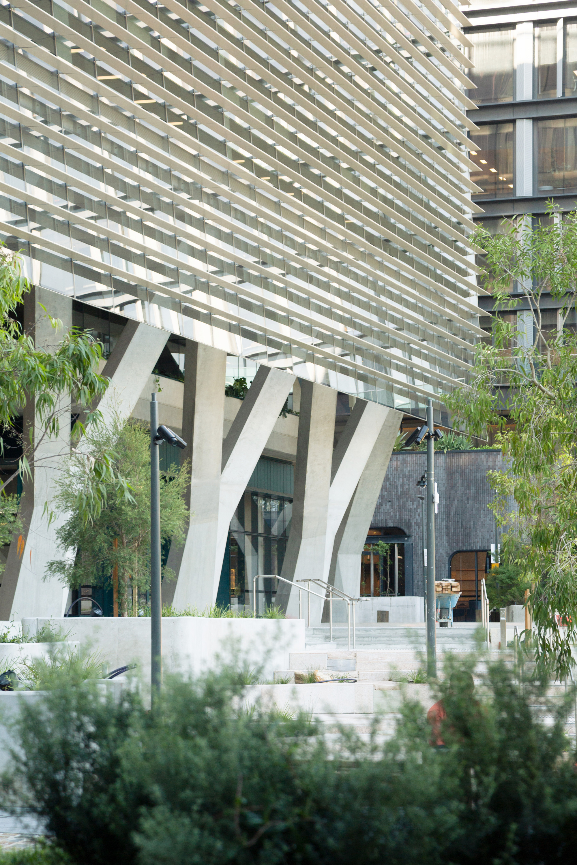 Entry plaza with white branching columns beneath horizontal louvers and landscaped planters