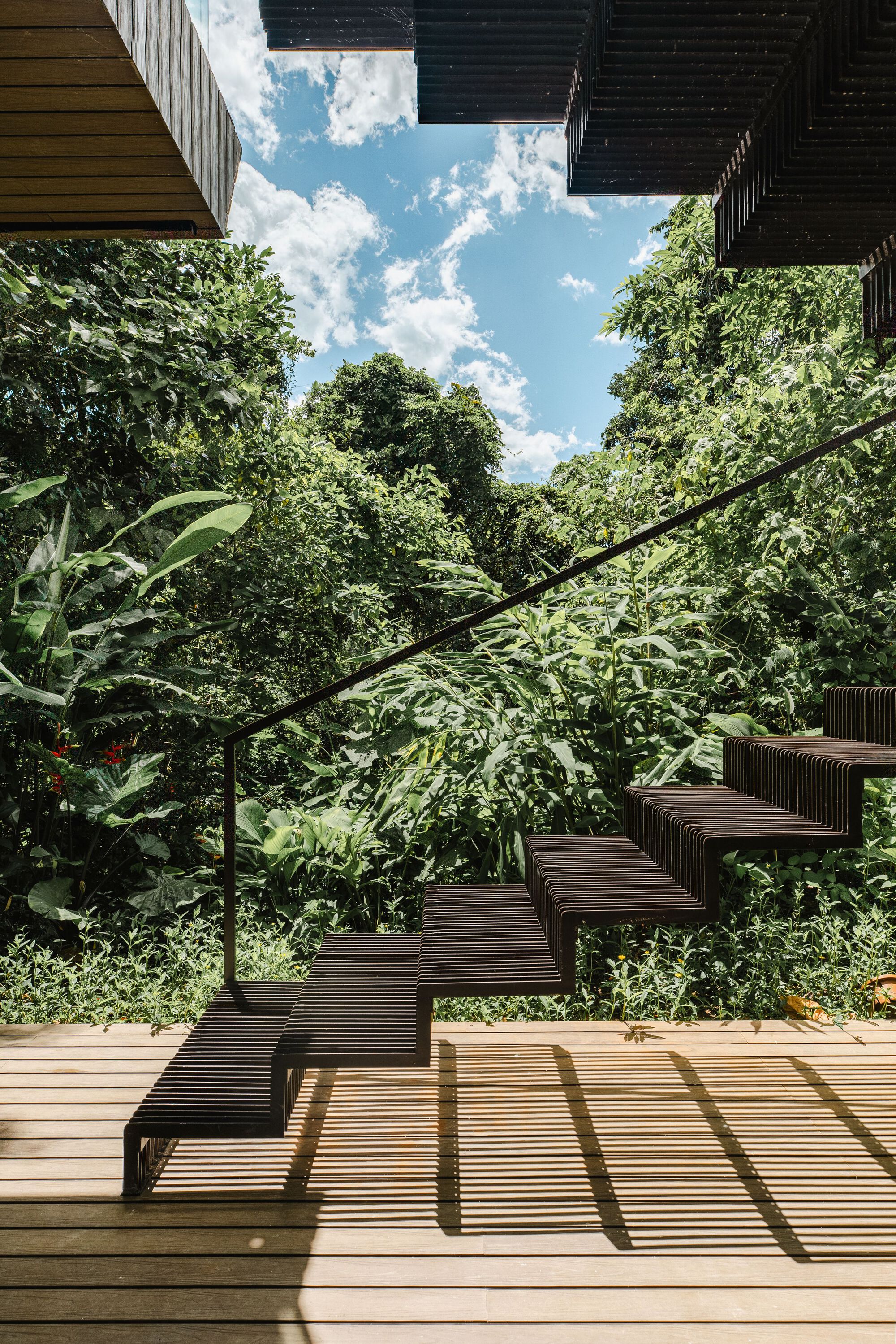 Timber deck stair descending through planted slope with banana leaves and canopy overhead