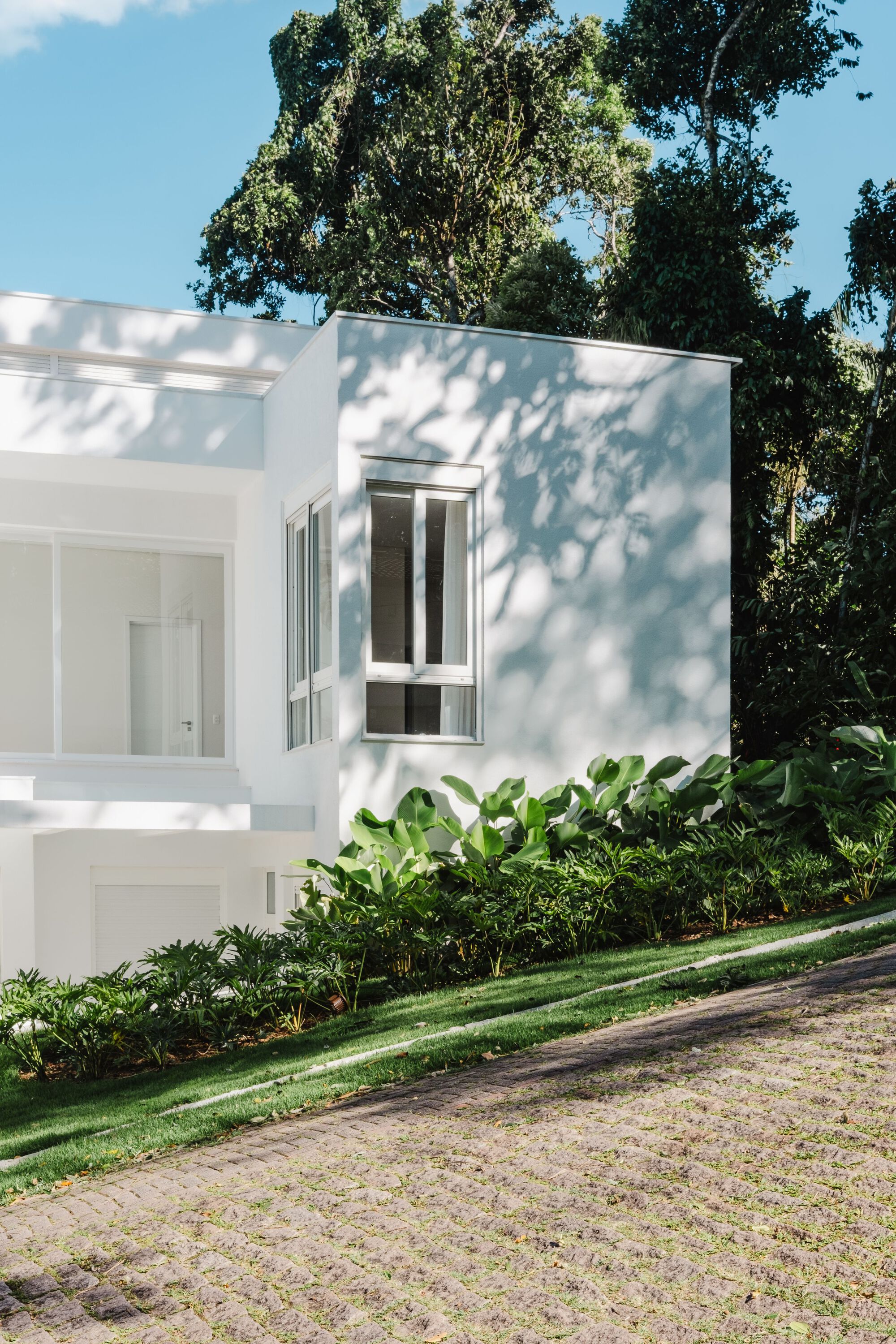 White rendered facade volumes framed by dense tropical foliage and dappled tree shadows