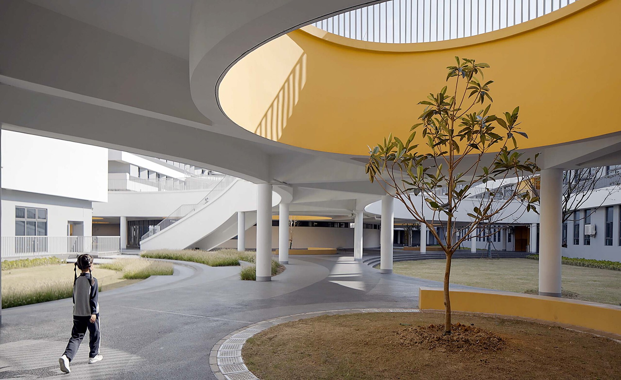 Covered outdoor passage with white columns and a young tree as a student walks through