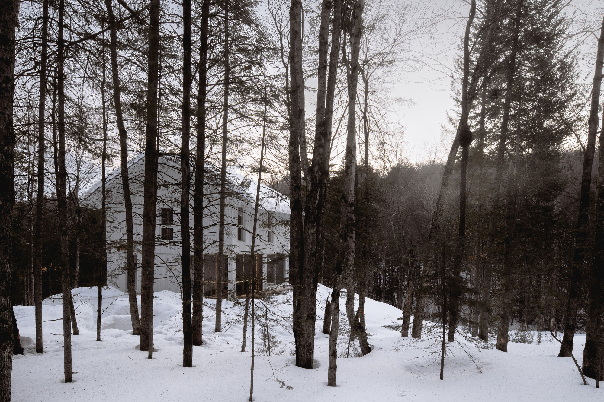 Distant view of the timber-clad volume rising among snow-covered pines in winter