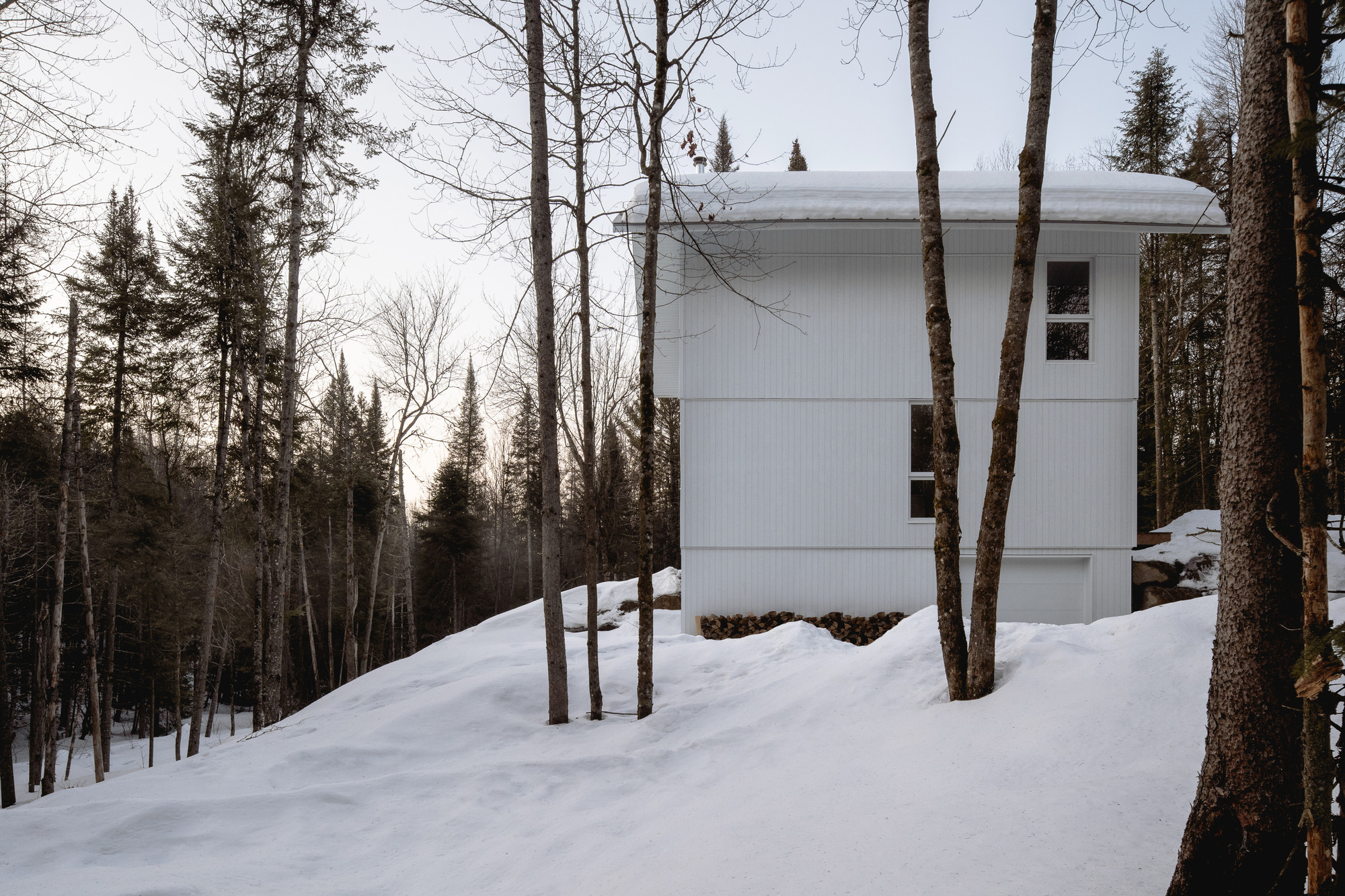 White vertical-panel facade with rectangular windows framed by birch and evergreen trees in snow