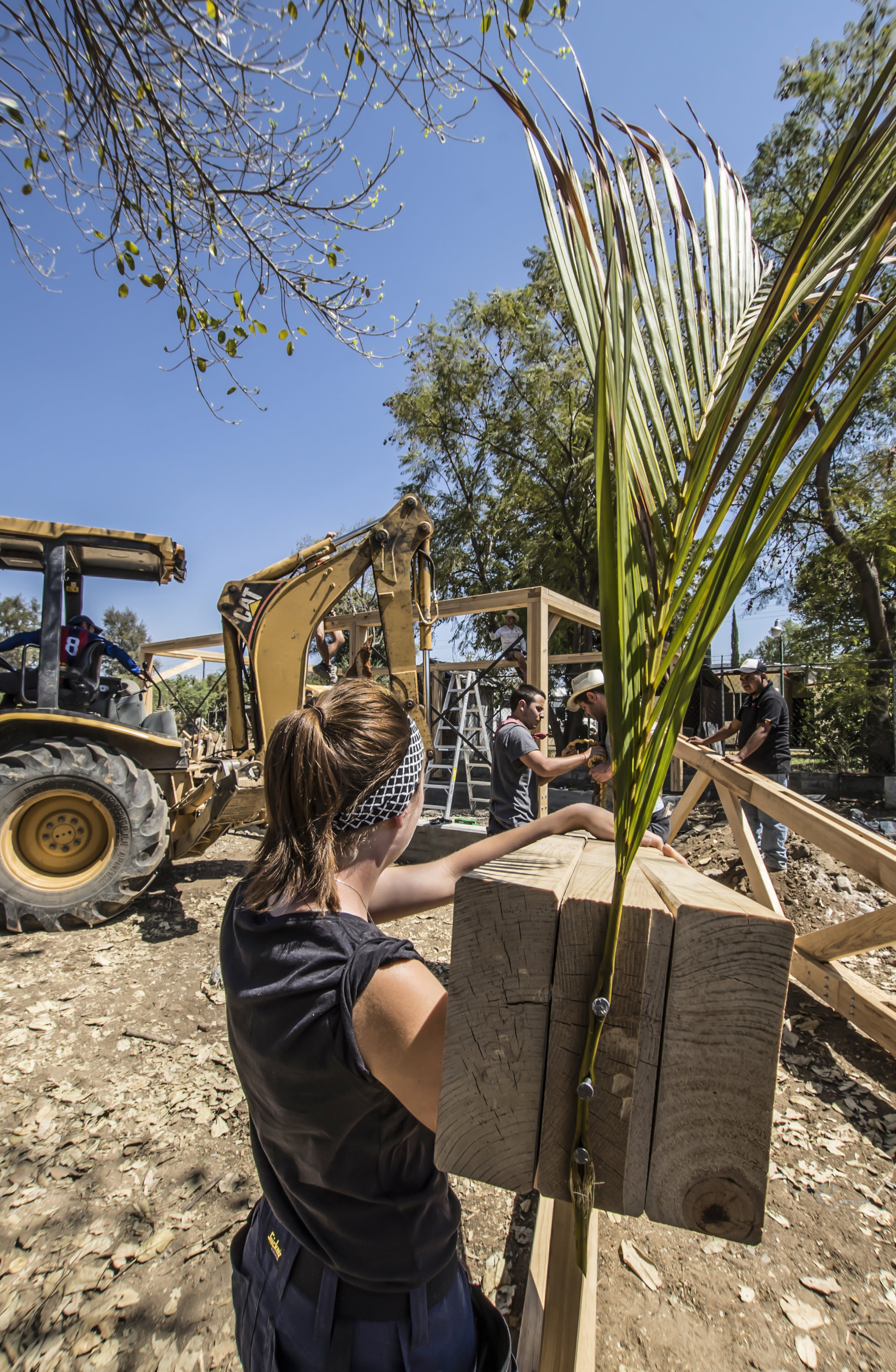 Construction site with workers assembling timber framework and palm fronds under a clear blue sky