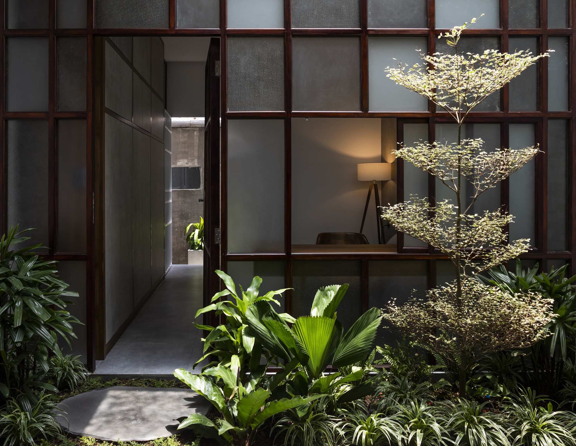Interior courtyard with planted bed and tiered tree viewed through timber-framed glass partition at dusk