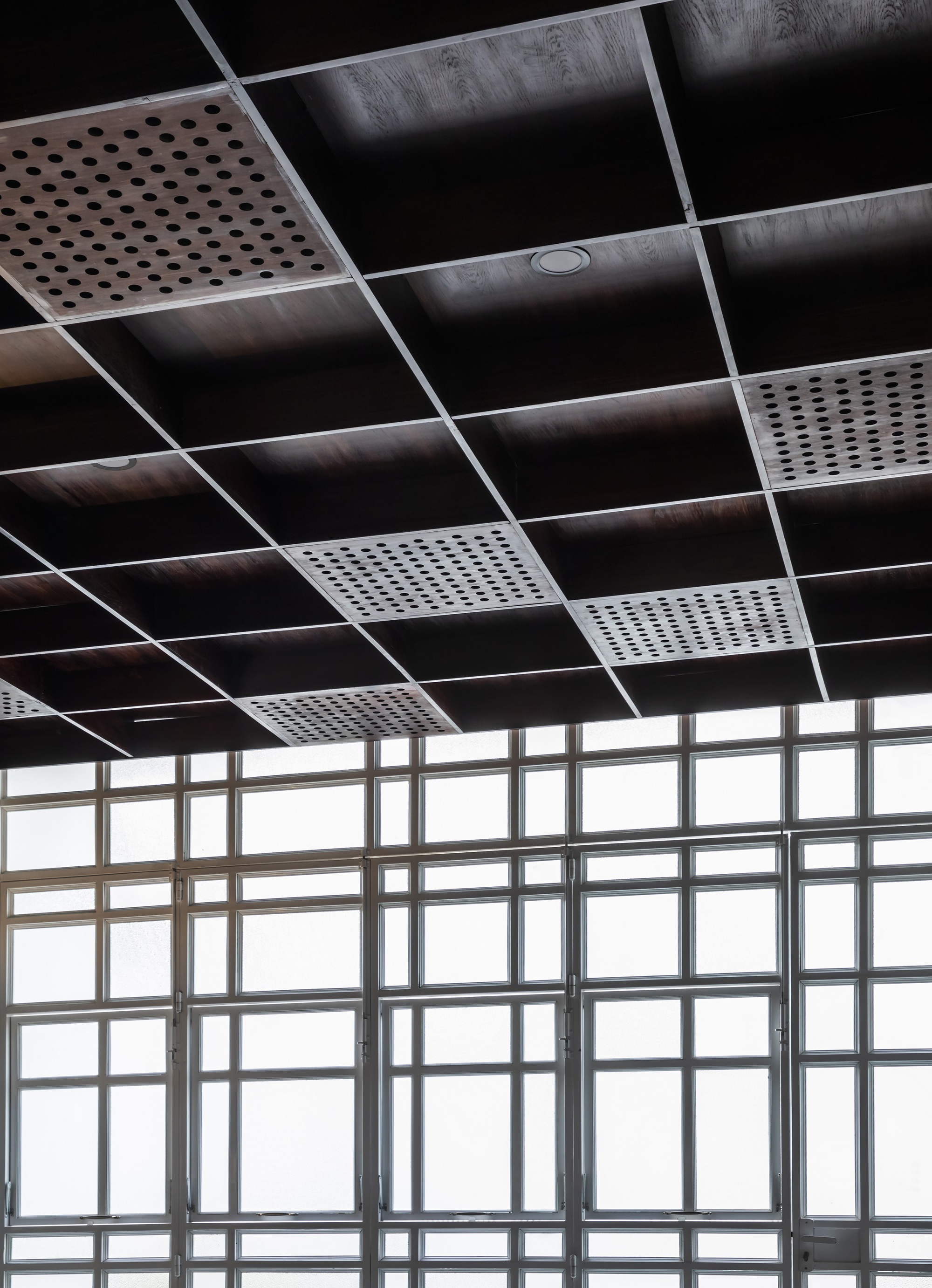 Dark metal ceiling grid with perforated acoustic panels above a tall glazed curtain wall