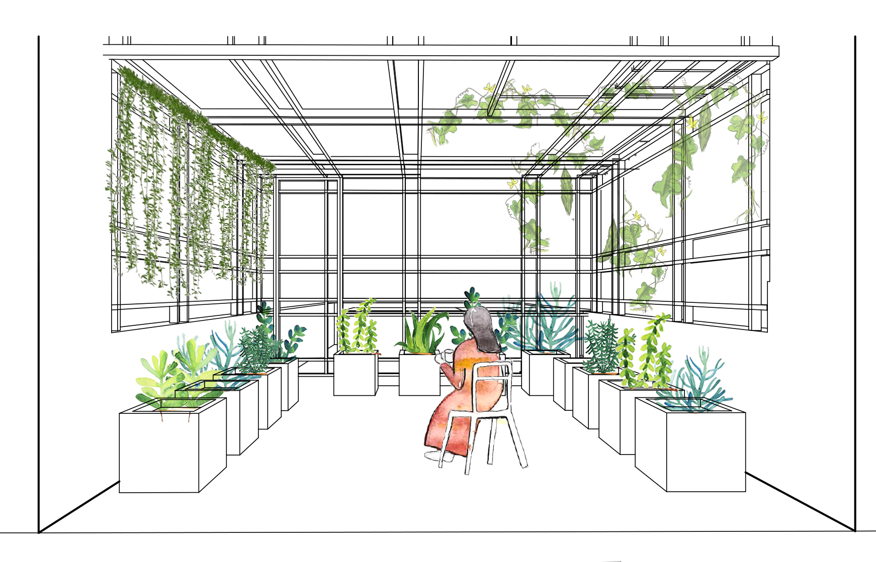 Interior perspective sketch of a glazed room with overhead trellis, hanging vines, and seated figure