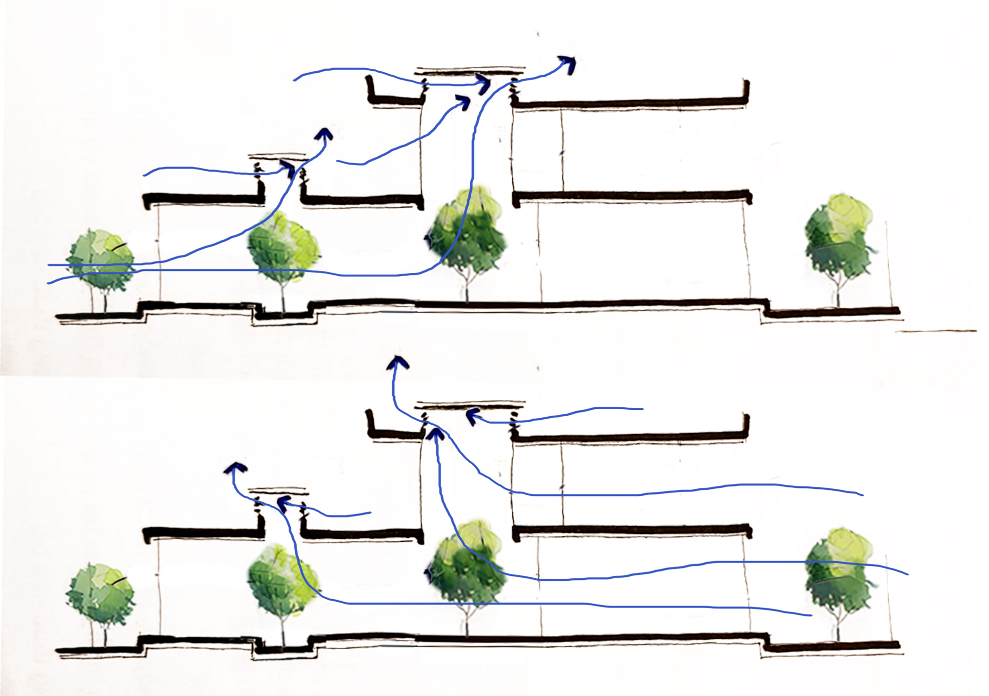 Section sketches illustrating natural ventilation airflow patterns through split-level volumes with trees