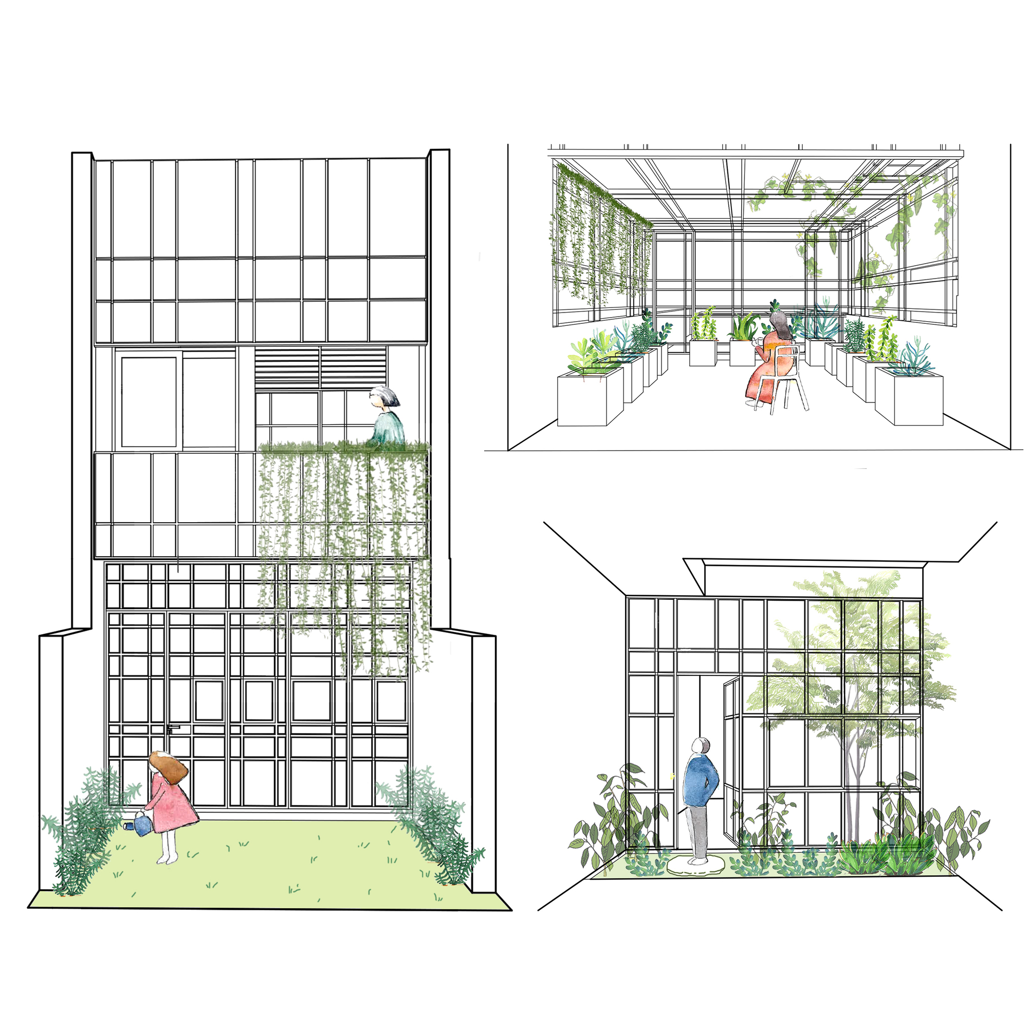Elevation and perspective drawings showing a steel-framed glass structure with hanging plants and people in a garden setting