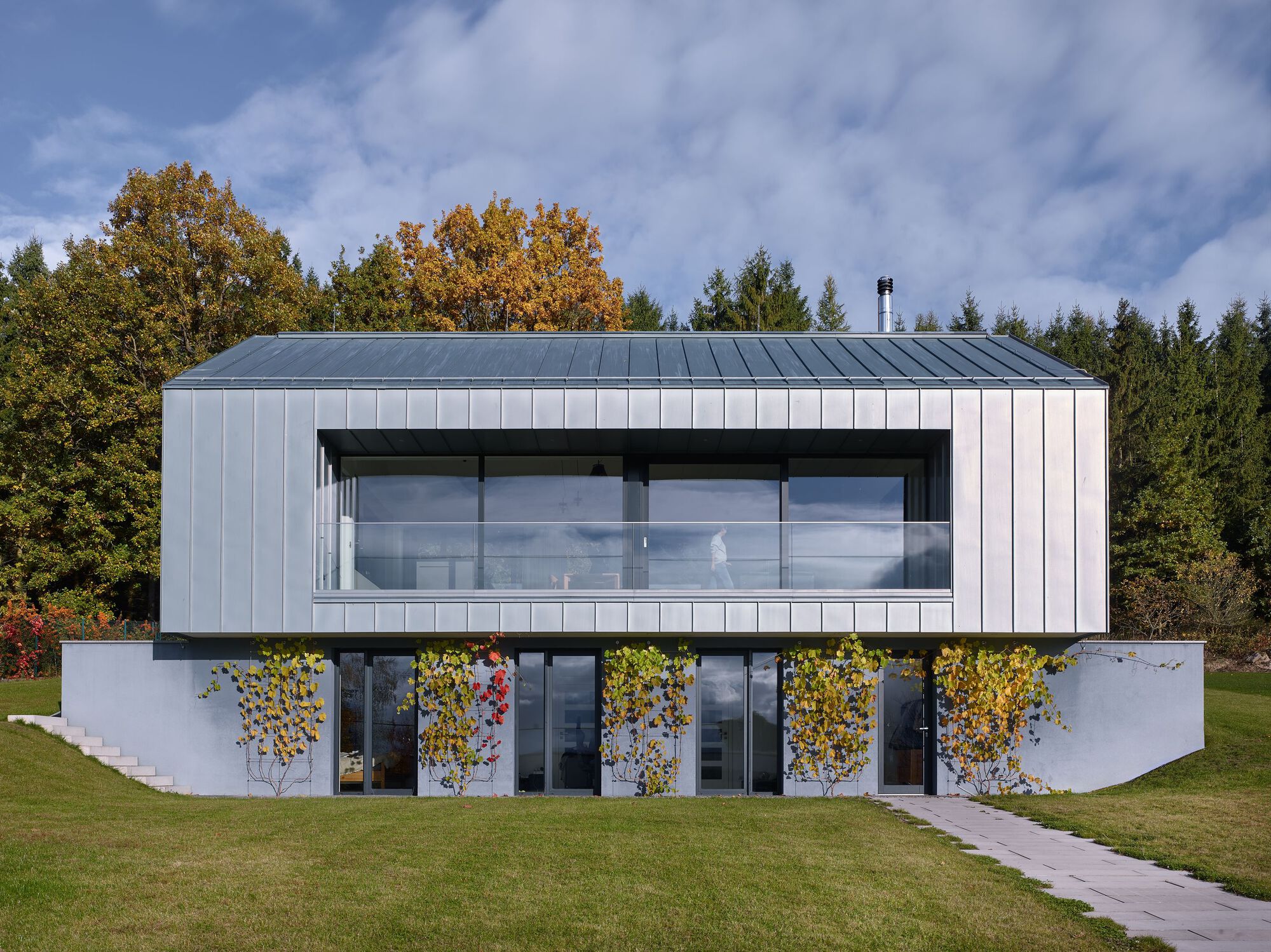 Two-story facade with vertical metal cladding above a white base with climbing vines turning yellow in autumn