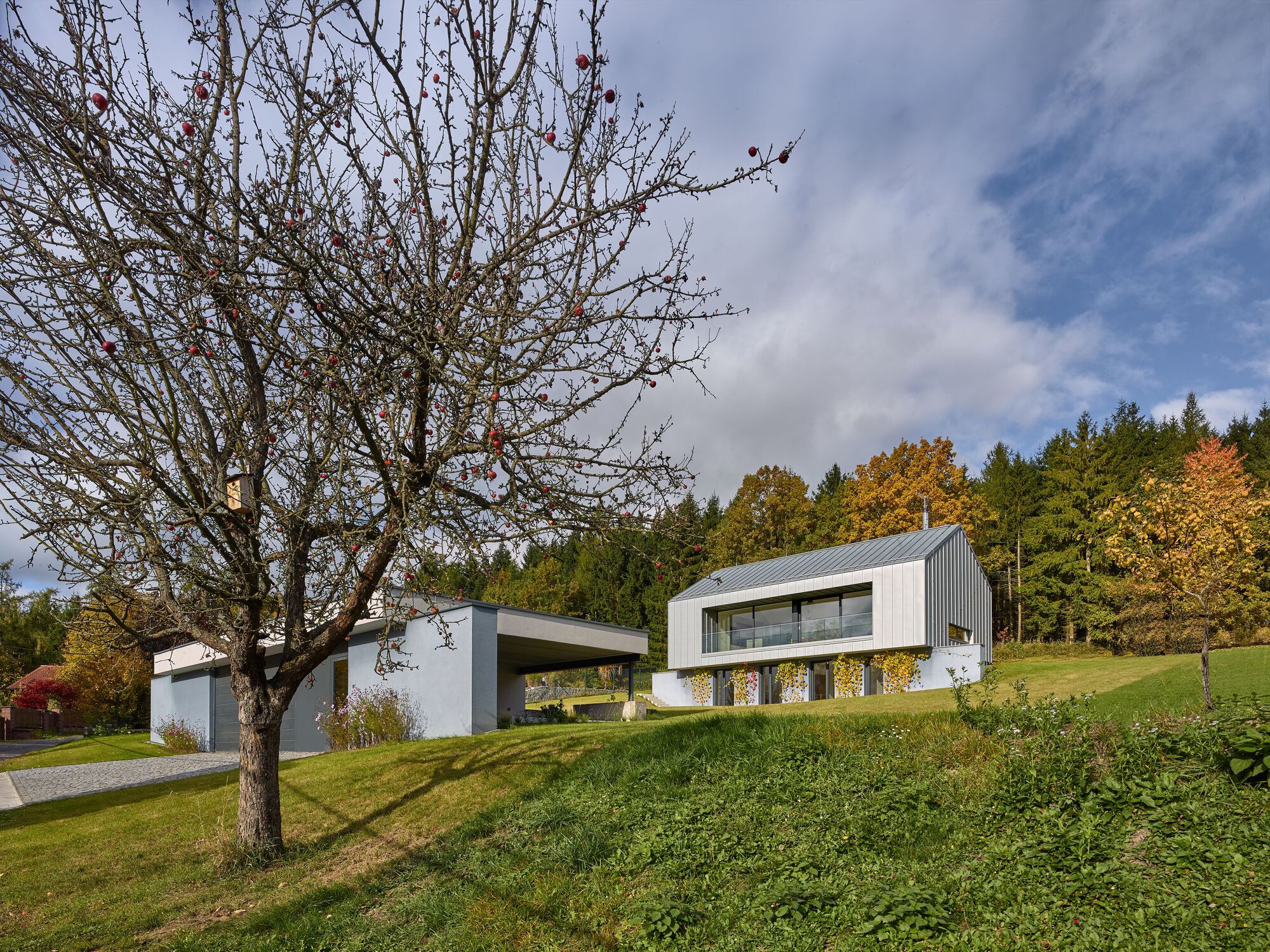 Split-level residence with white base and metal-clad upper volume on a grassy slope beside a bare tree