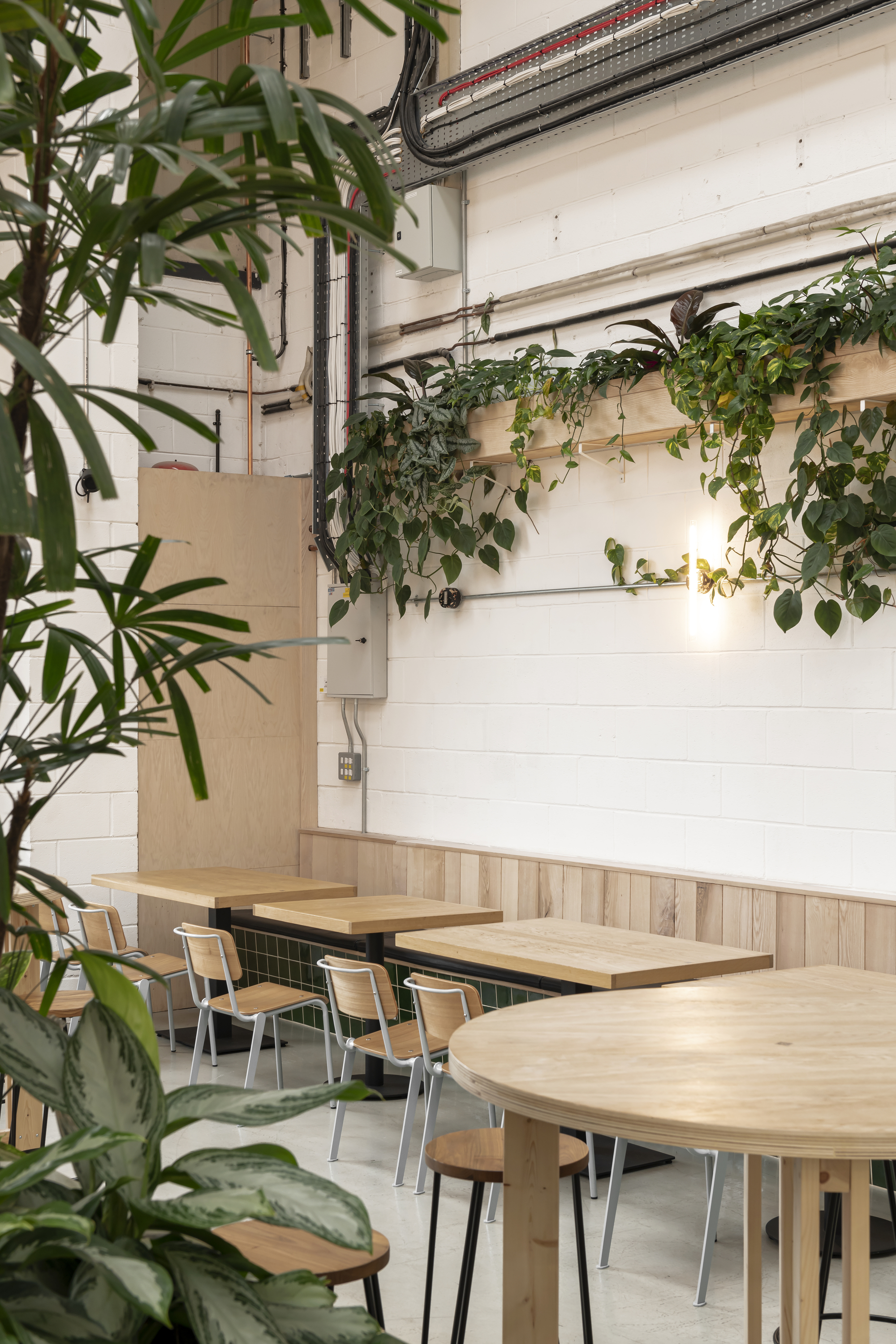 Corner seating nook with round timber tables and trailing plants mounted on white corrugated metal walls