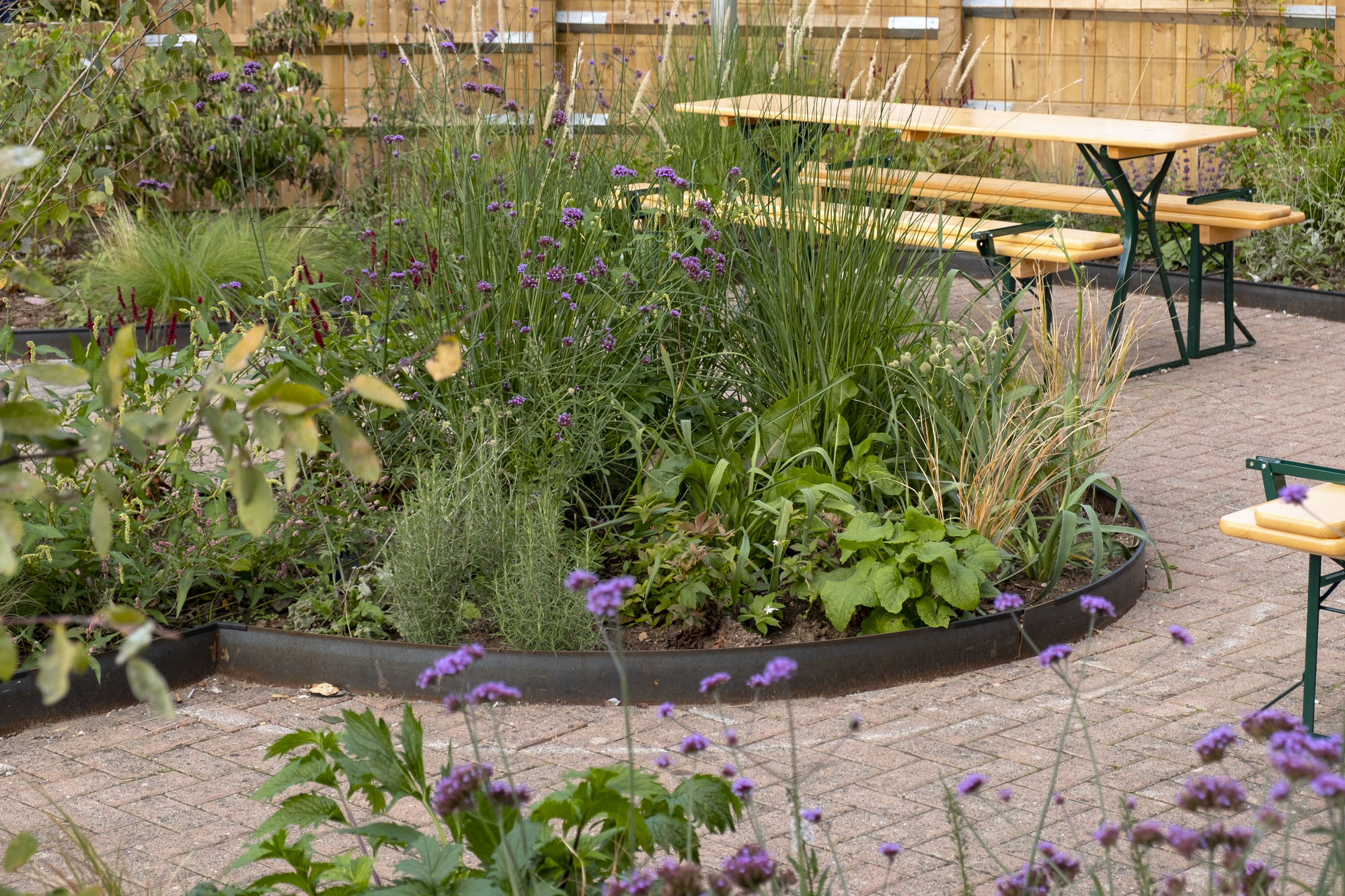 Circular planted bed with grasses and purple flowering plants on paved courtyard beside folding wooden tables