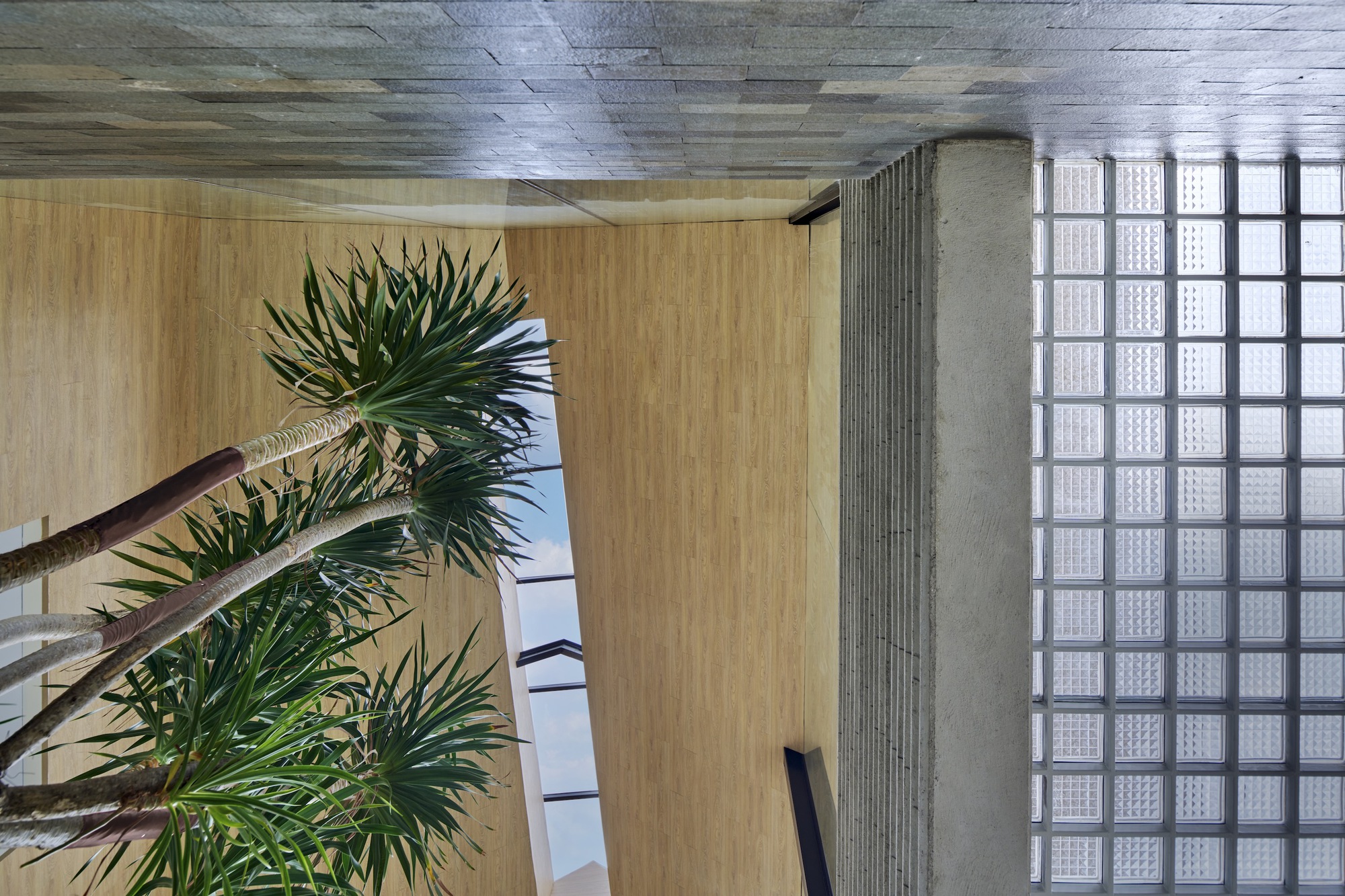 Upward view of the gridded glass block skylight with palm fronds and ribbed ceiling panels
