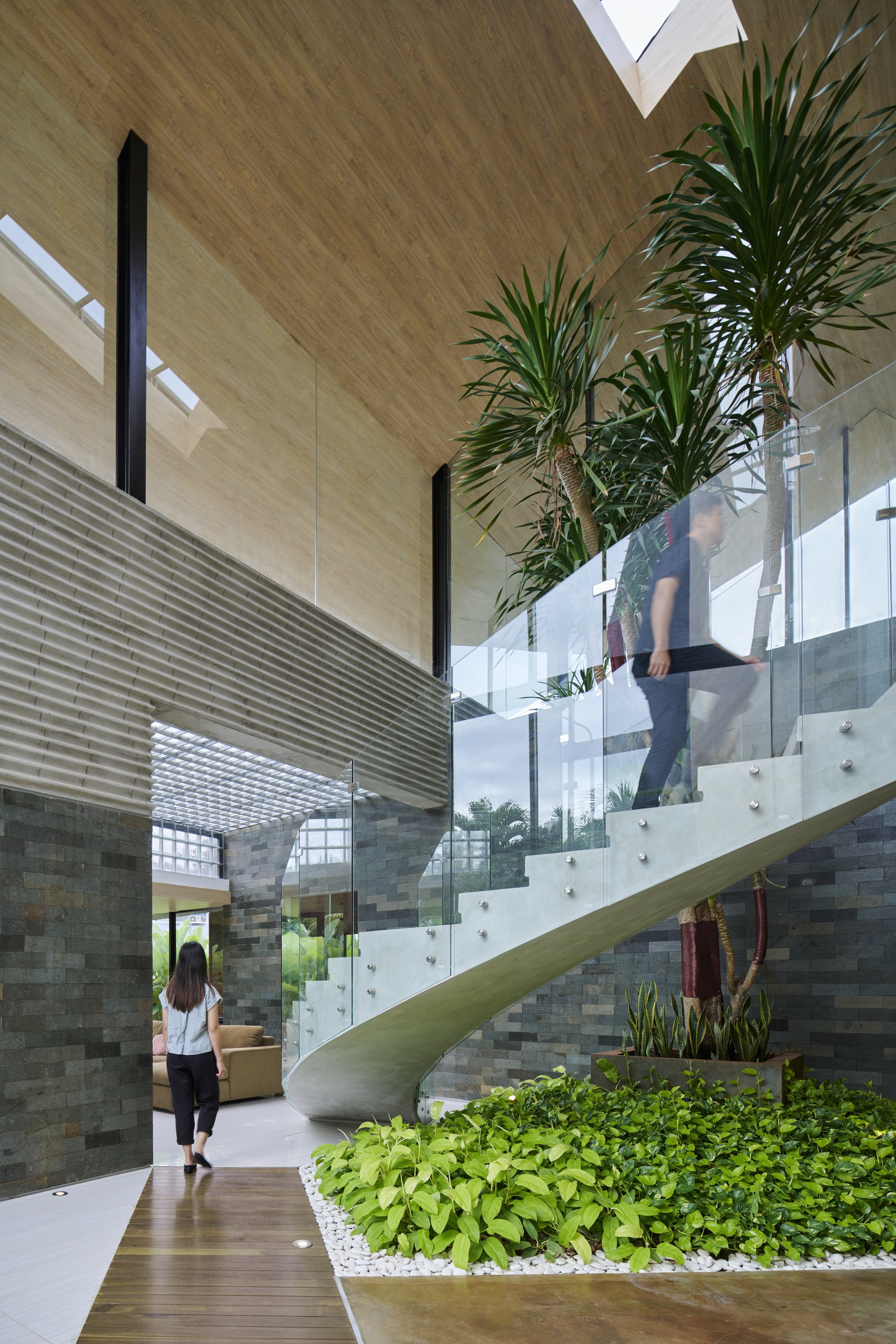 Curved white staircase with glass railings beside planted beds with hostas and palms under skylight