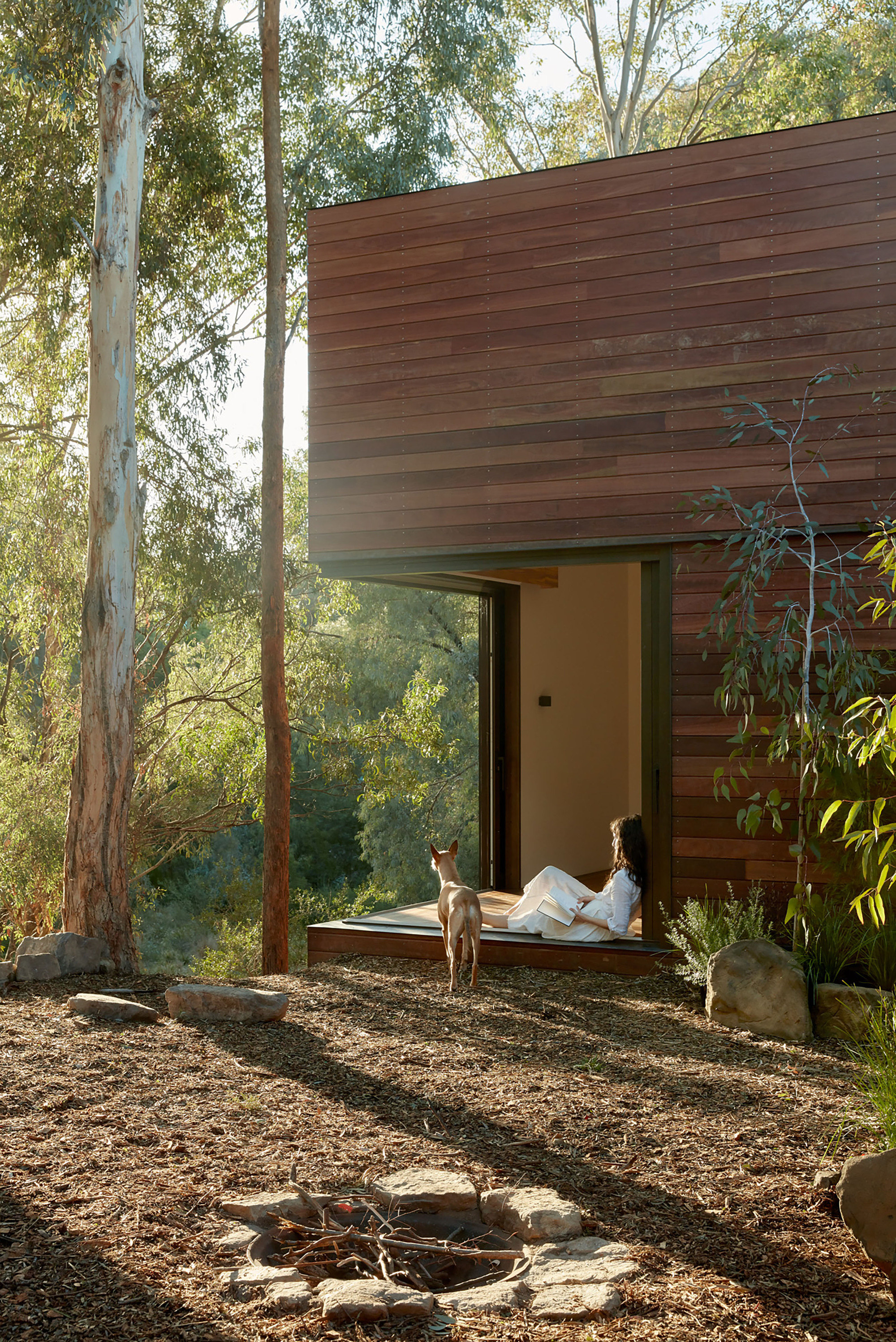 Cantilevered timber-clad volume with person seated in doorway framed by eucalyptus trees