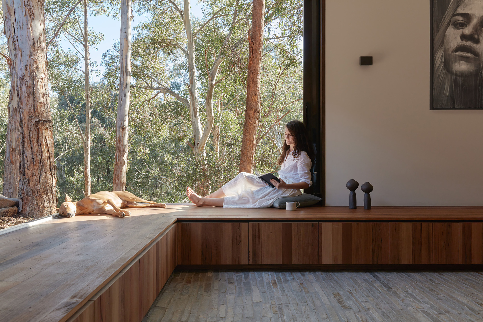 Timber window seat with person reading overlooking eucalyptus forest and dog